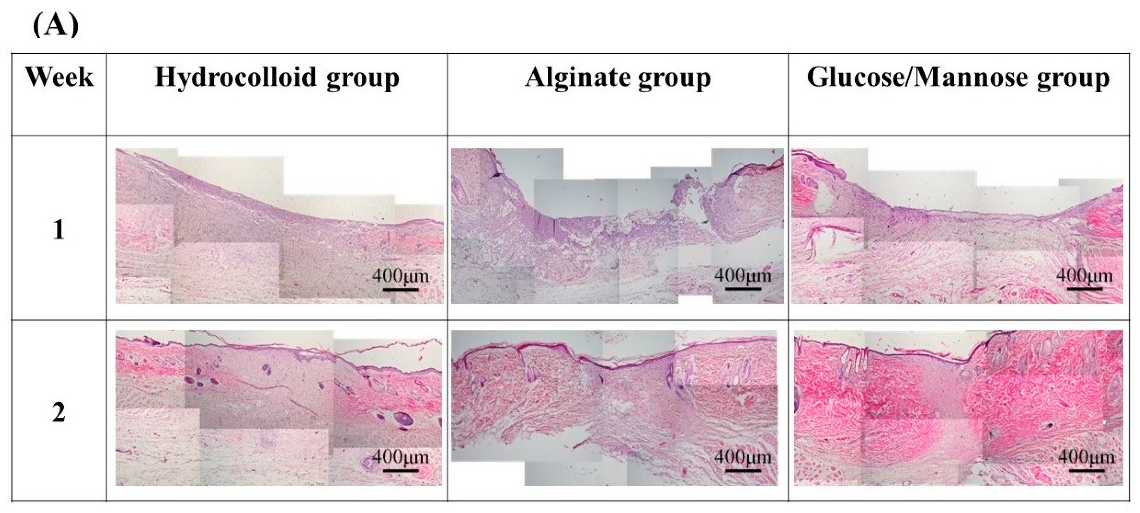 Pharmaceuticals 16 01532 g009a