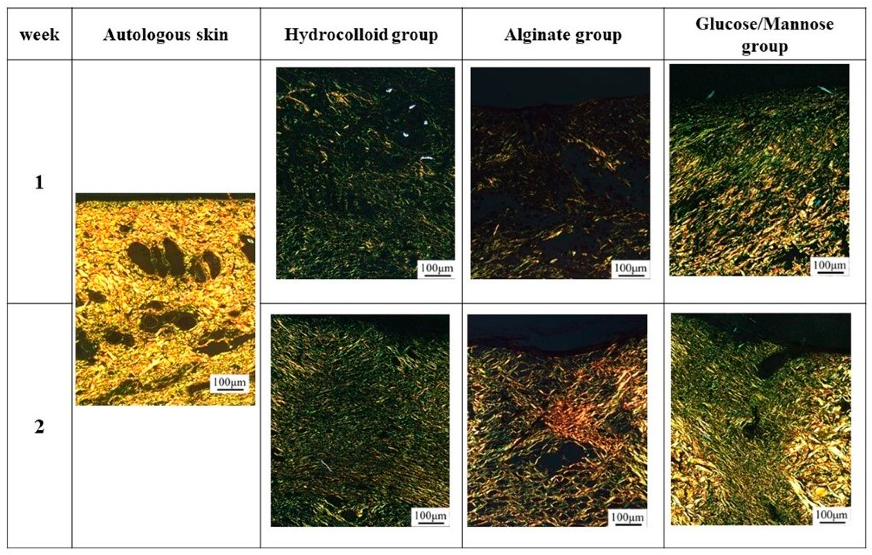 Pharmaceuticals 16 01532 g010