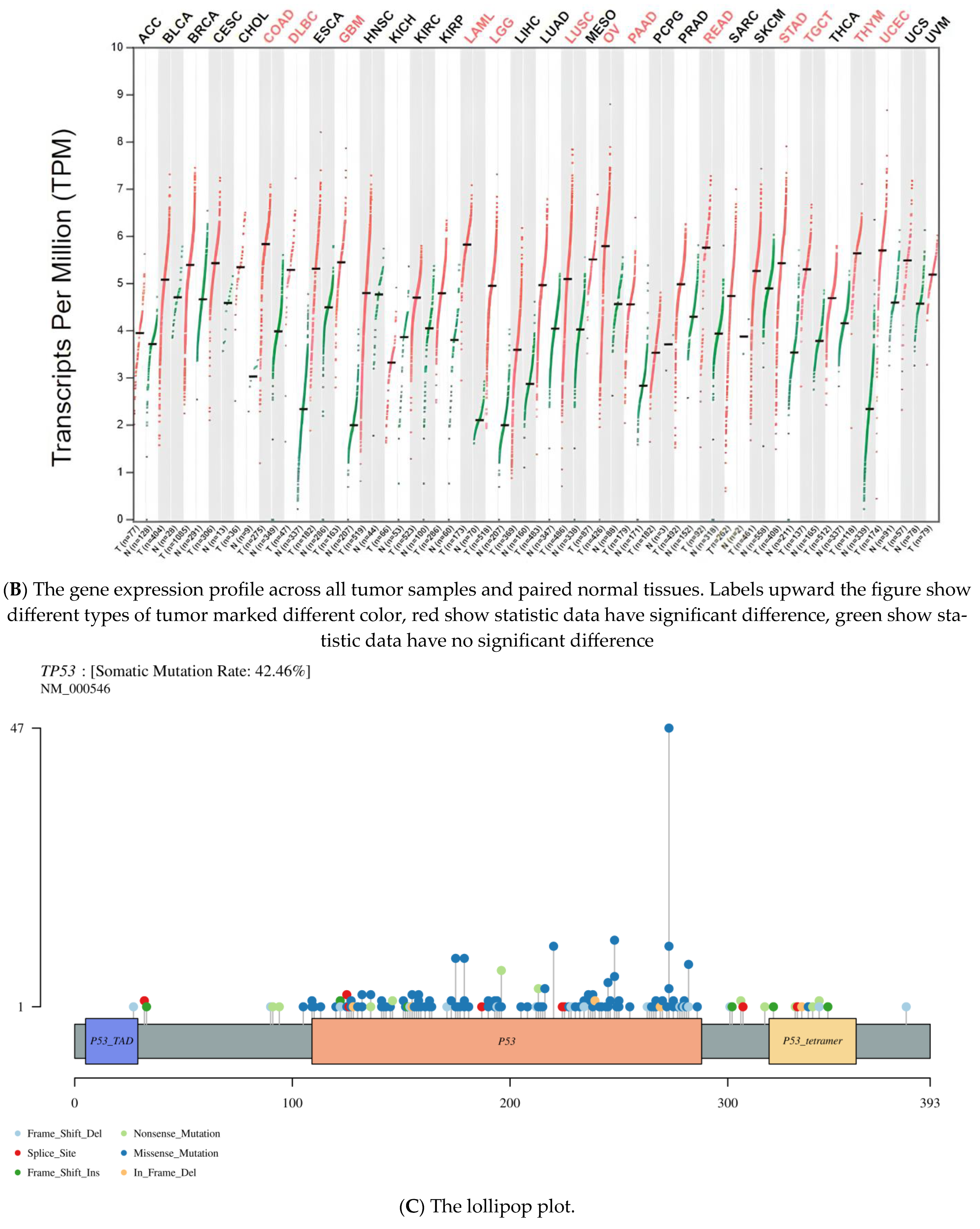 Pharmaceuticals 16 01533 g001b