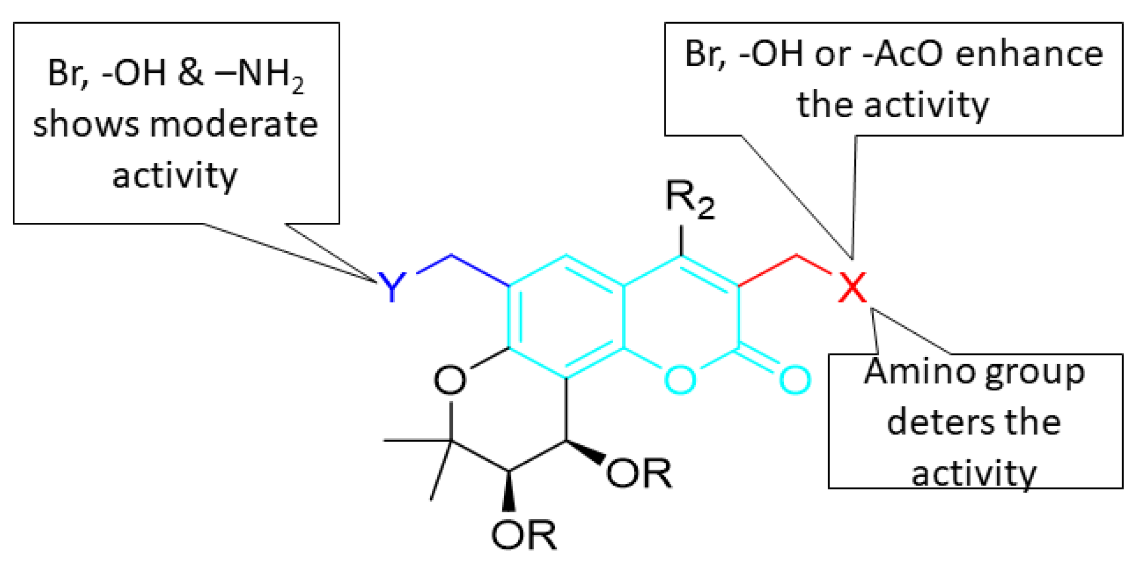 Pharmaceuticals 16 01538 g002
