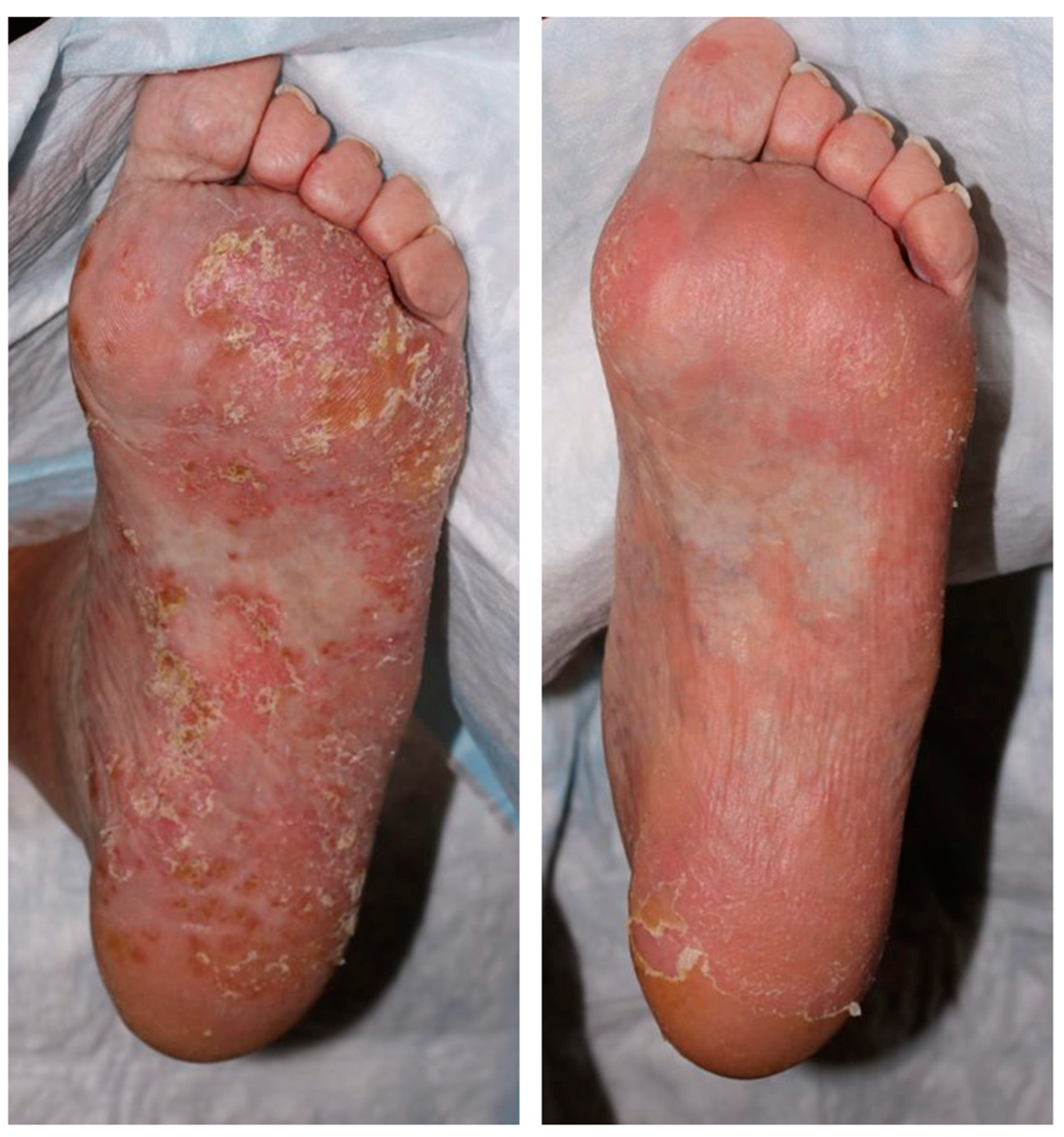 Pharmaceuticals 16 01548 g001