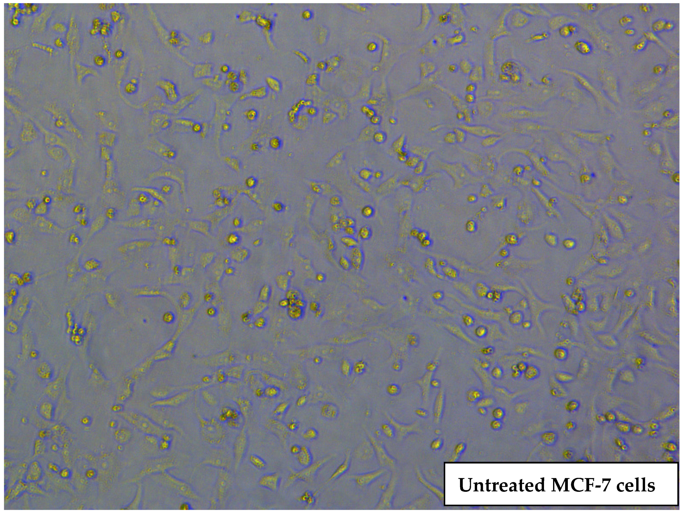 Pharmaceuticals 16 01549 g005a