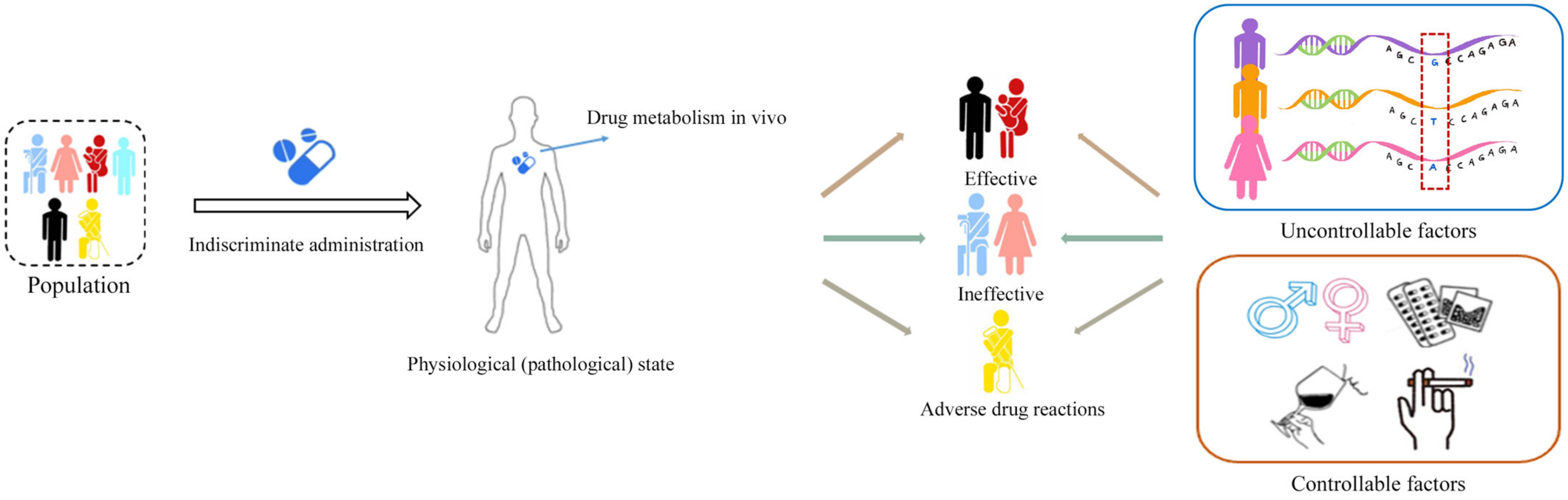 Pharmaceuticals 16 01568 g001