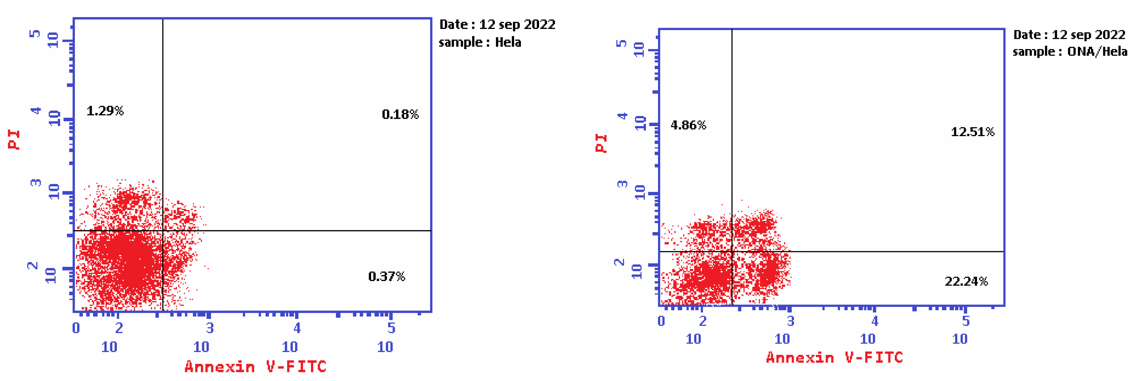 Pharmaceuticals 16 01578 g005