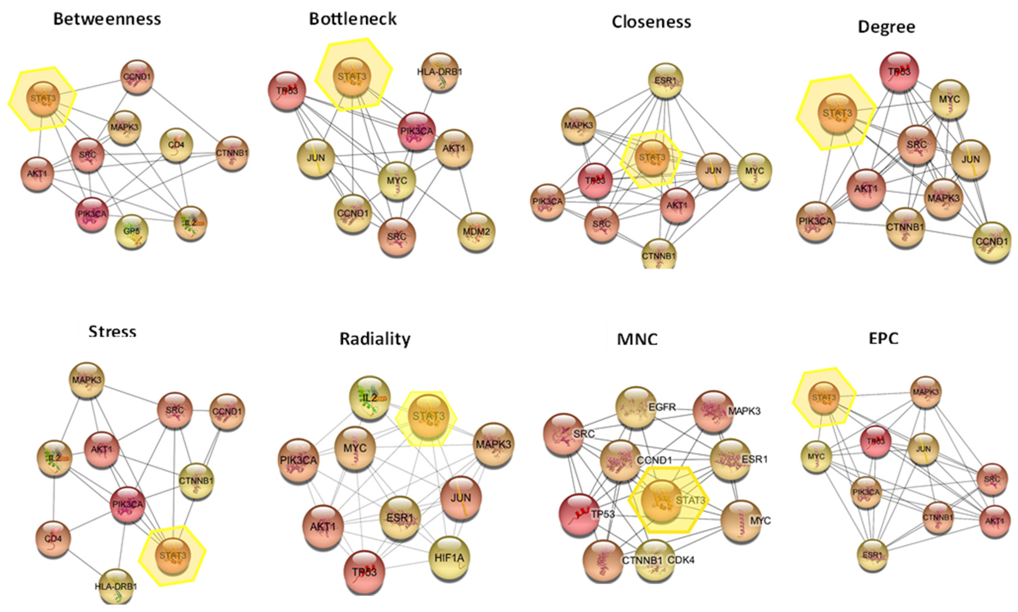 Pharmaceuticals 16 01578 g007