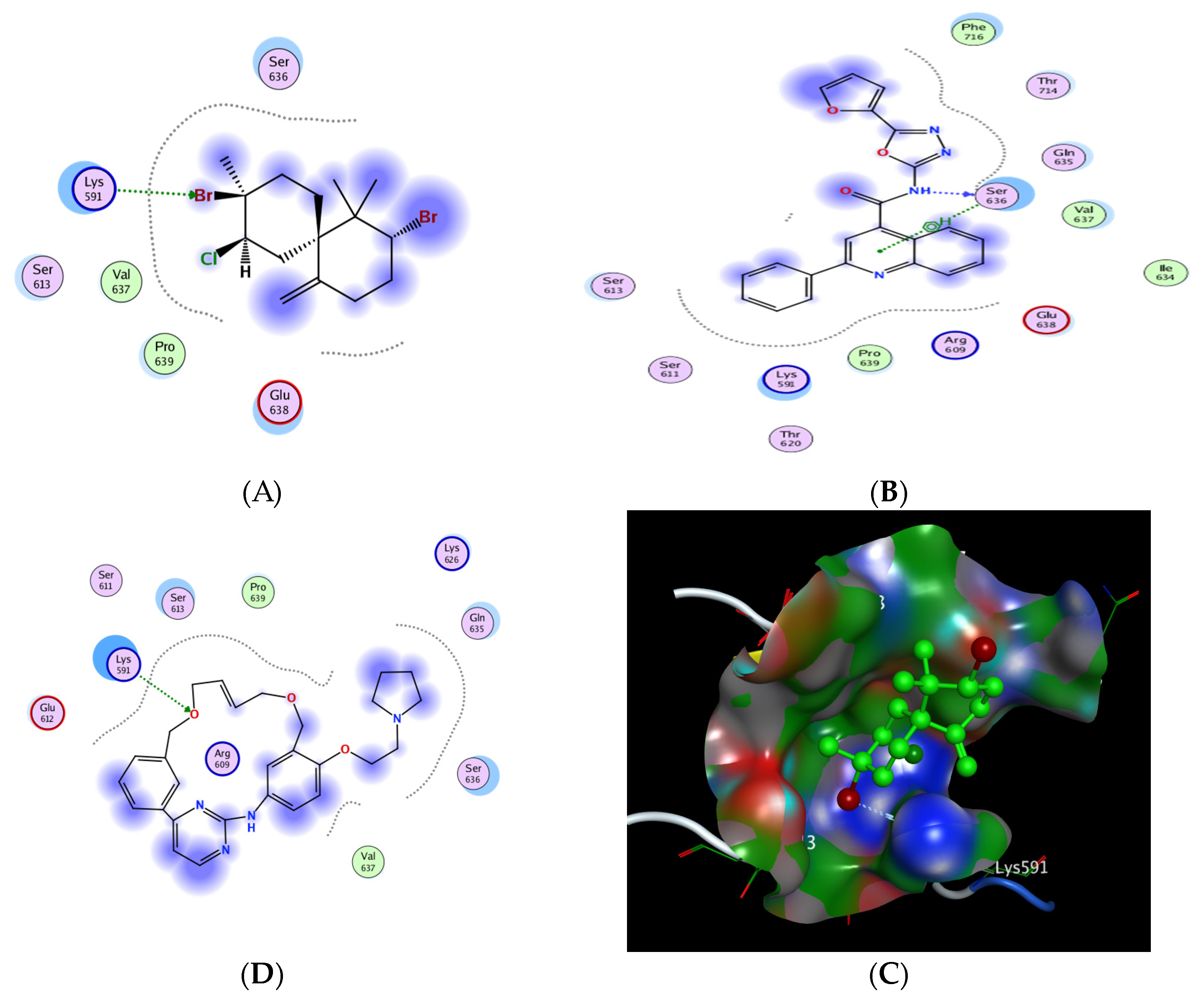 Pharmaceuticals 16 01578 g009