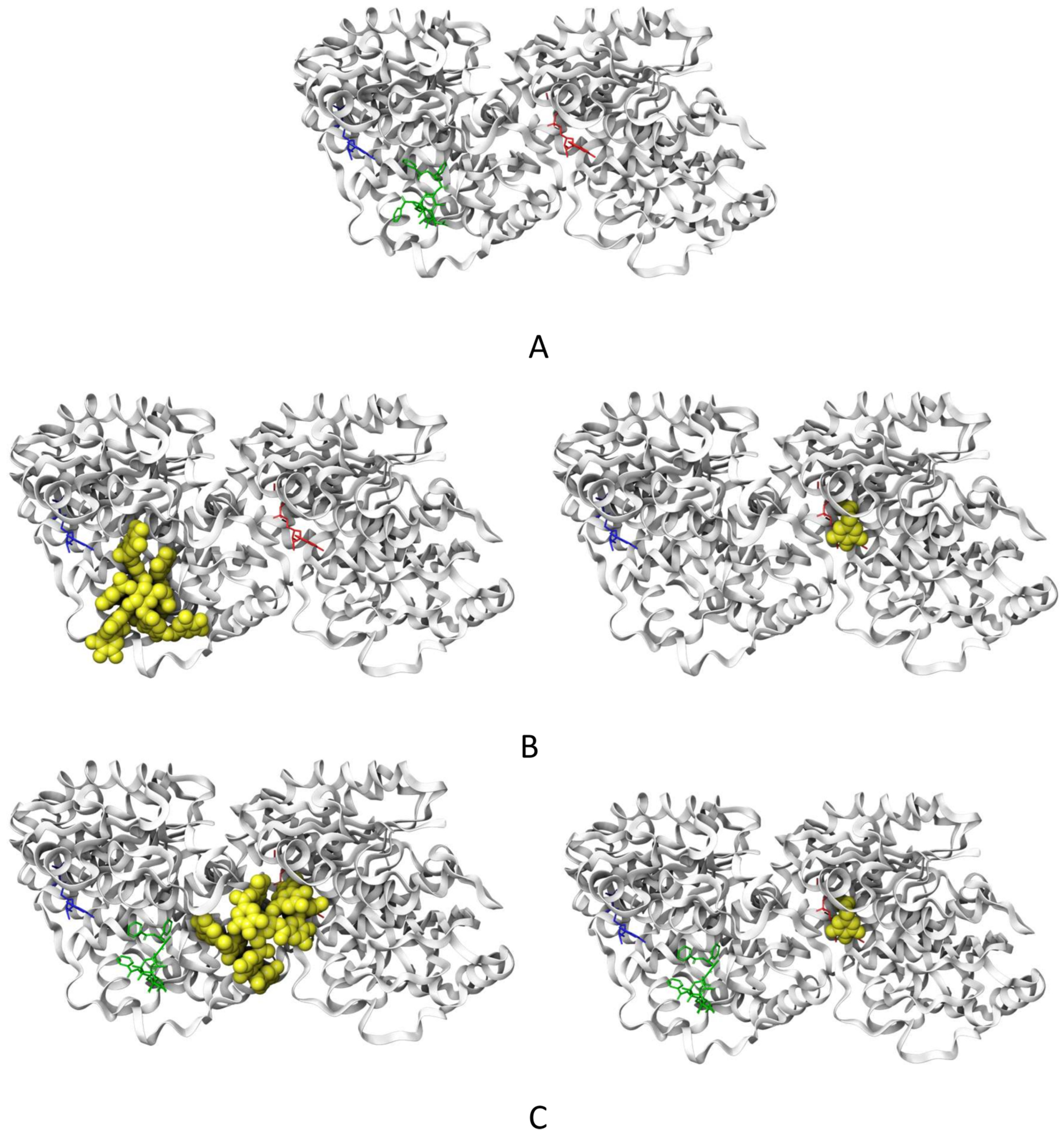 Pharmaceuticals 16 01579 g007