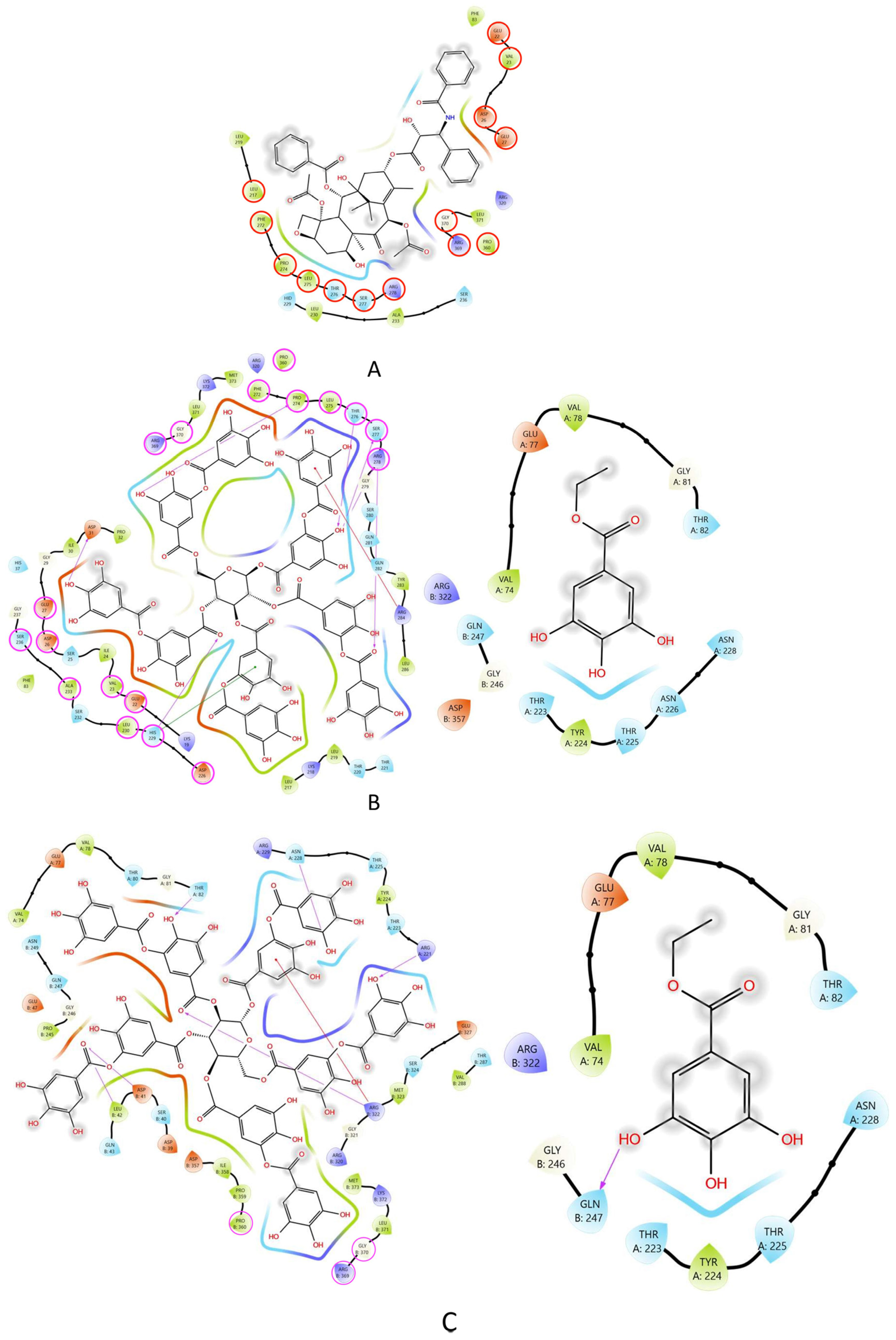 Pharmaceuticals 16 01579 g008