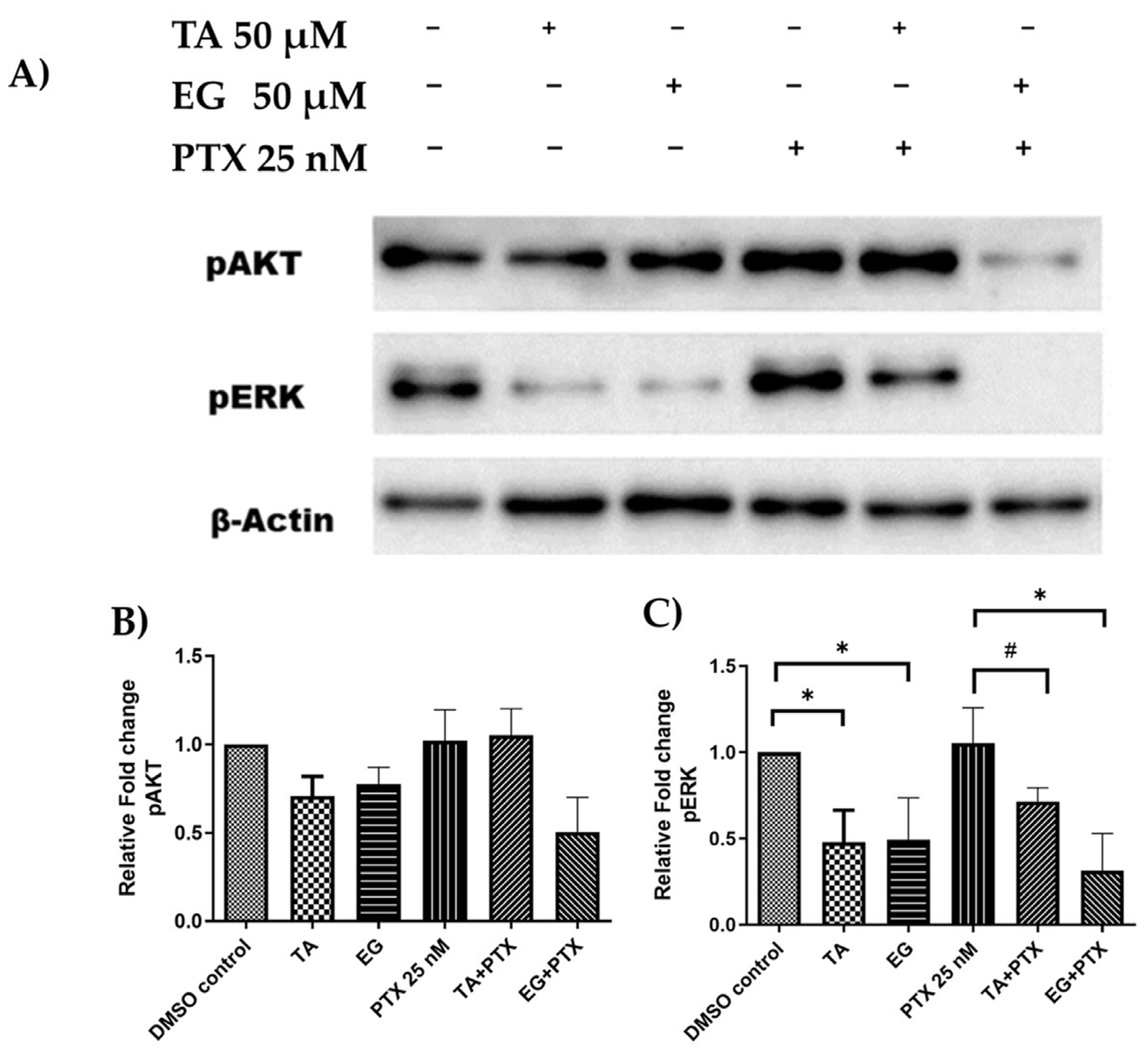 Pharmaceuticals 16 01579 g009
