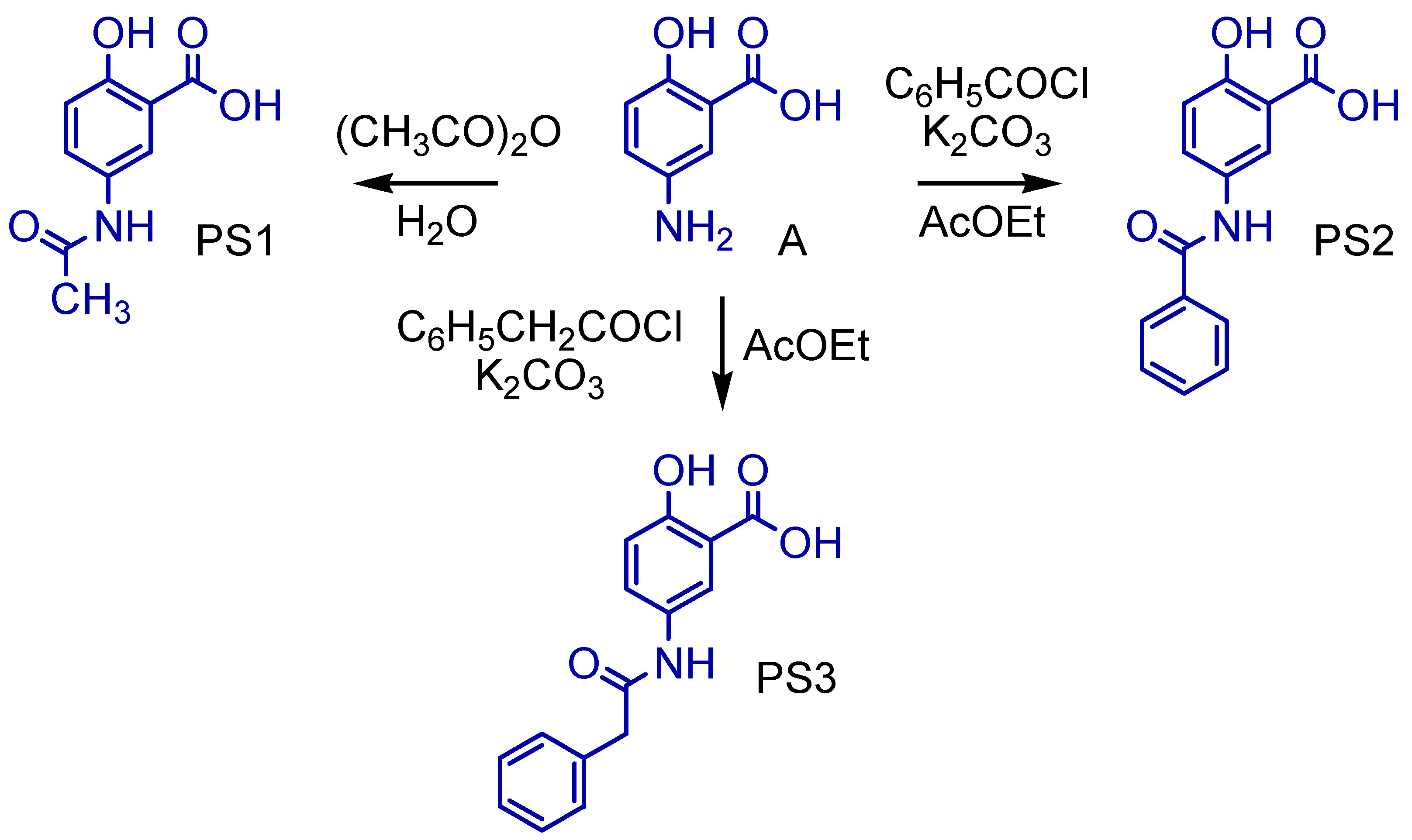 Pharmaceuticals 16 01584 g003