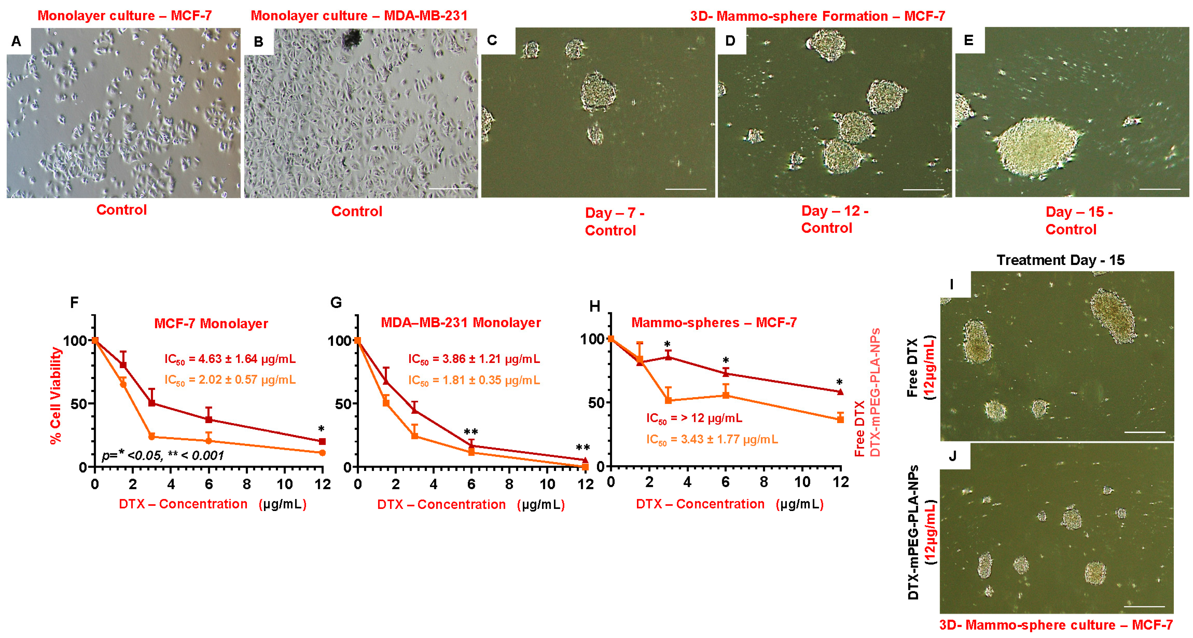 Pharmaceuticals 16 01600 g003