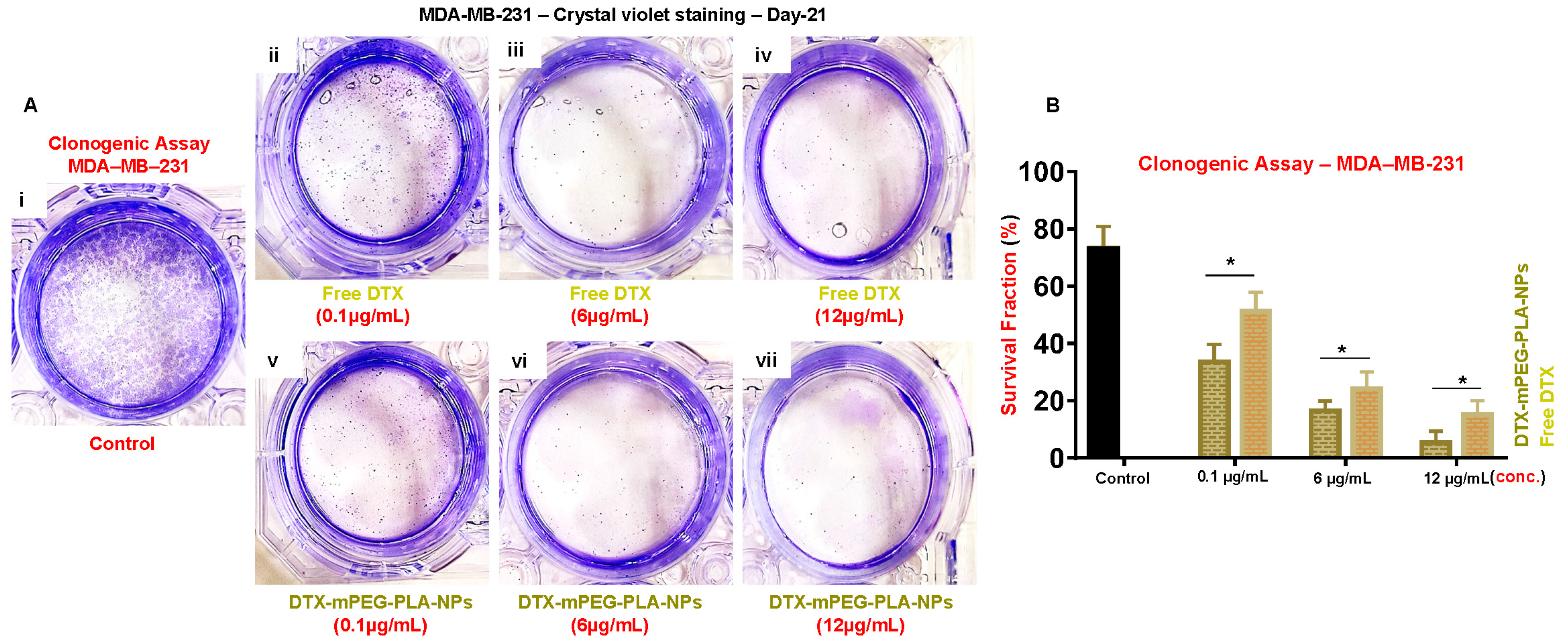 Pharmaceuticals 16 01600 g004