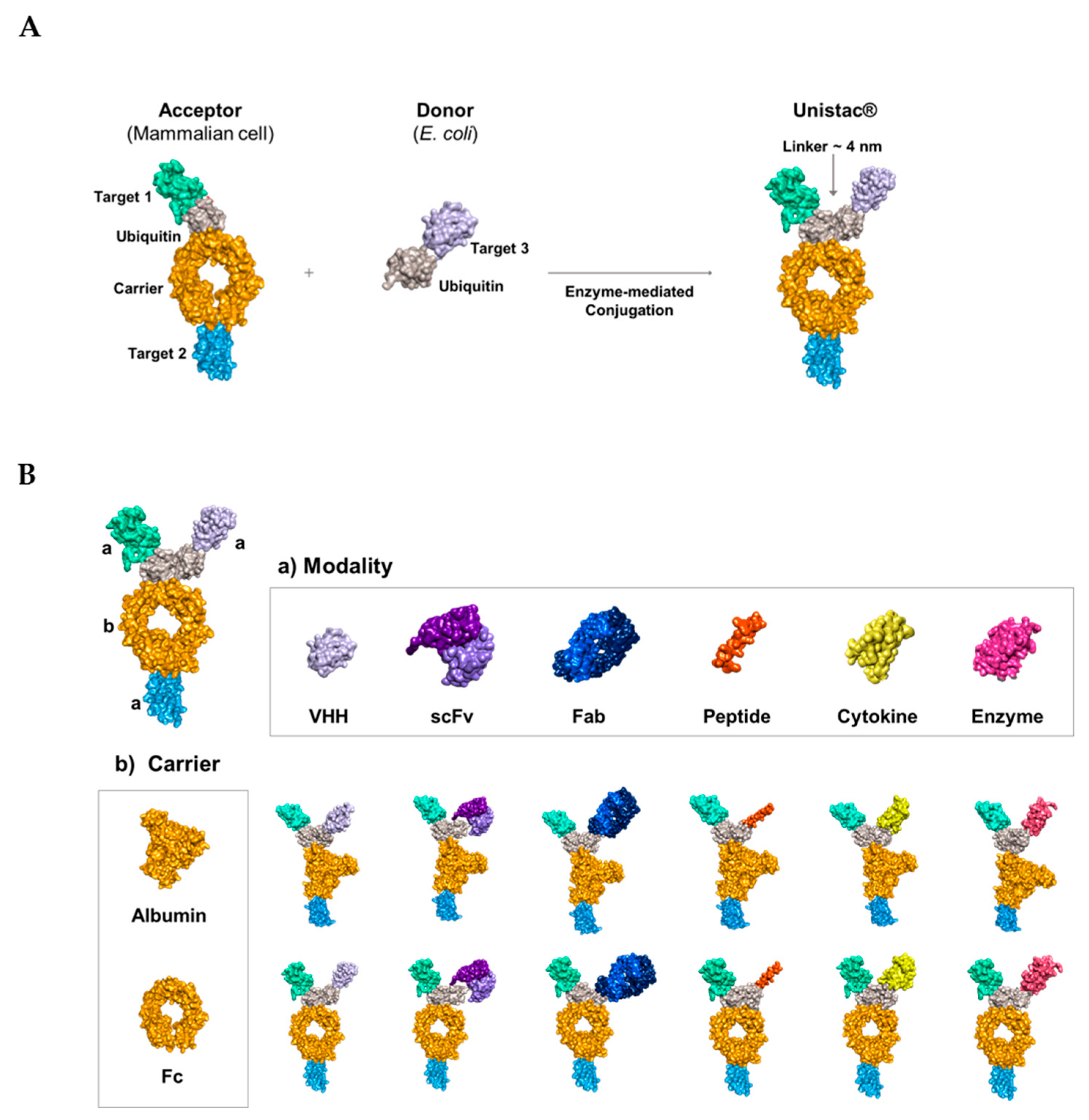 Pharmaceuticals 16 01601 g001 Pharmaceuticals 16 01601 g001