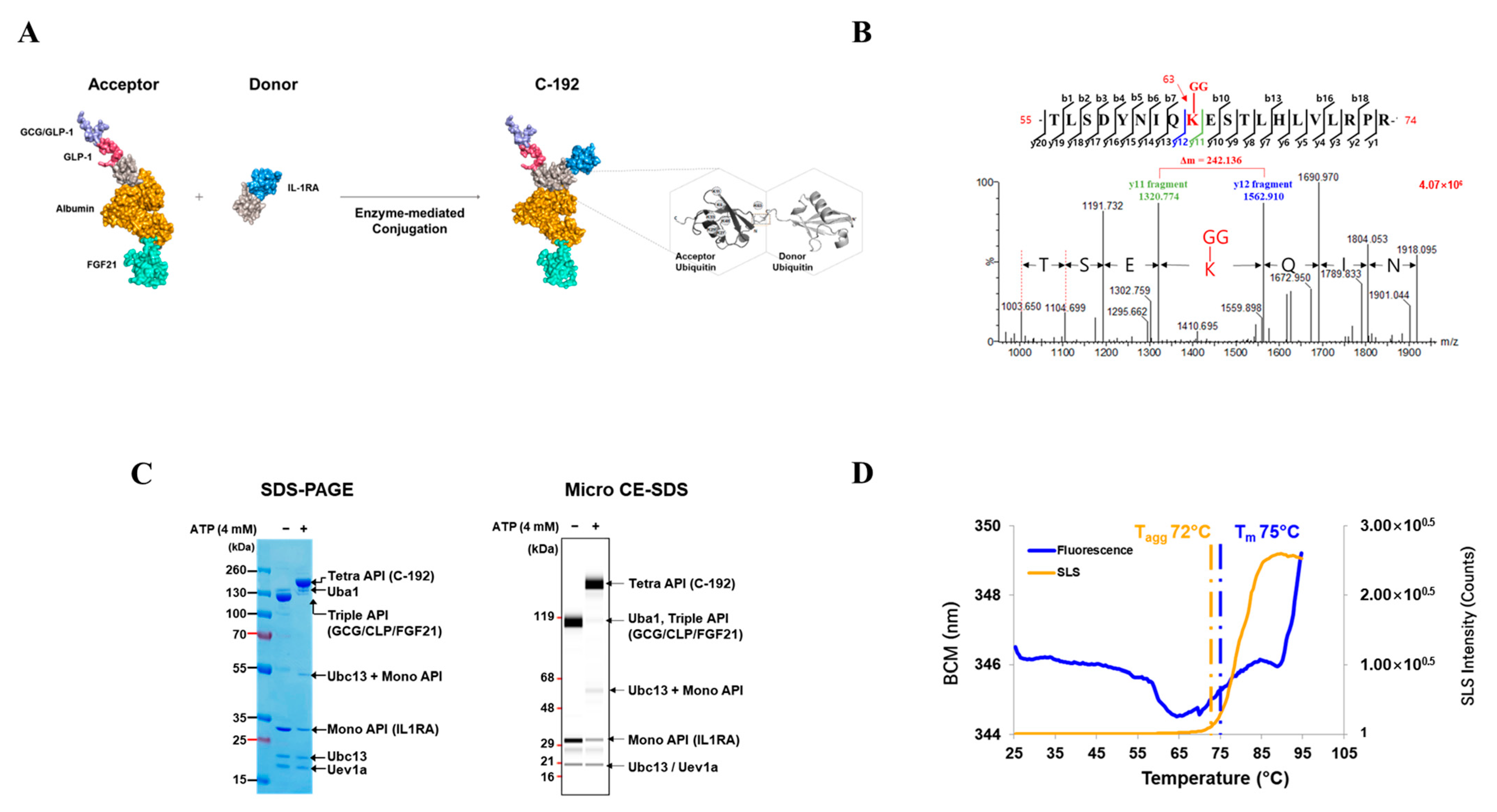 Pharmaceuticals 16 01601 g002 Pharmaceuticals 16 01601 g002