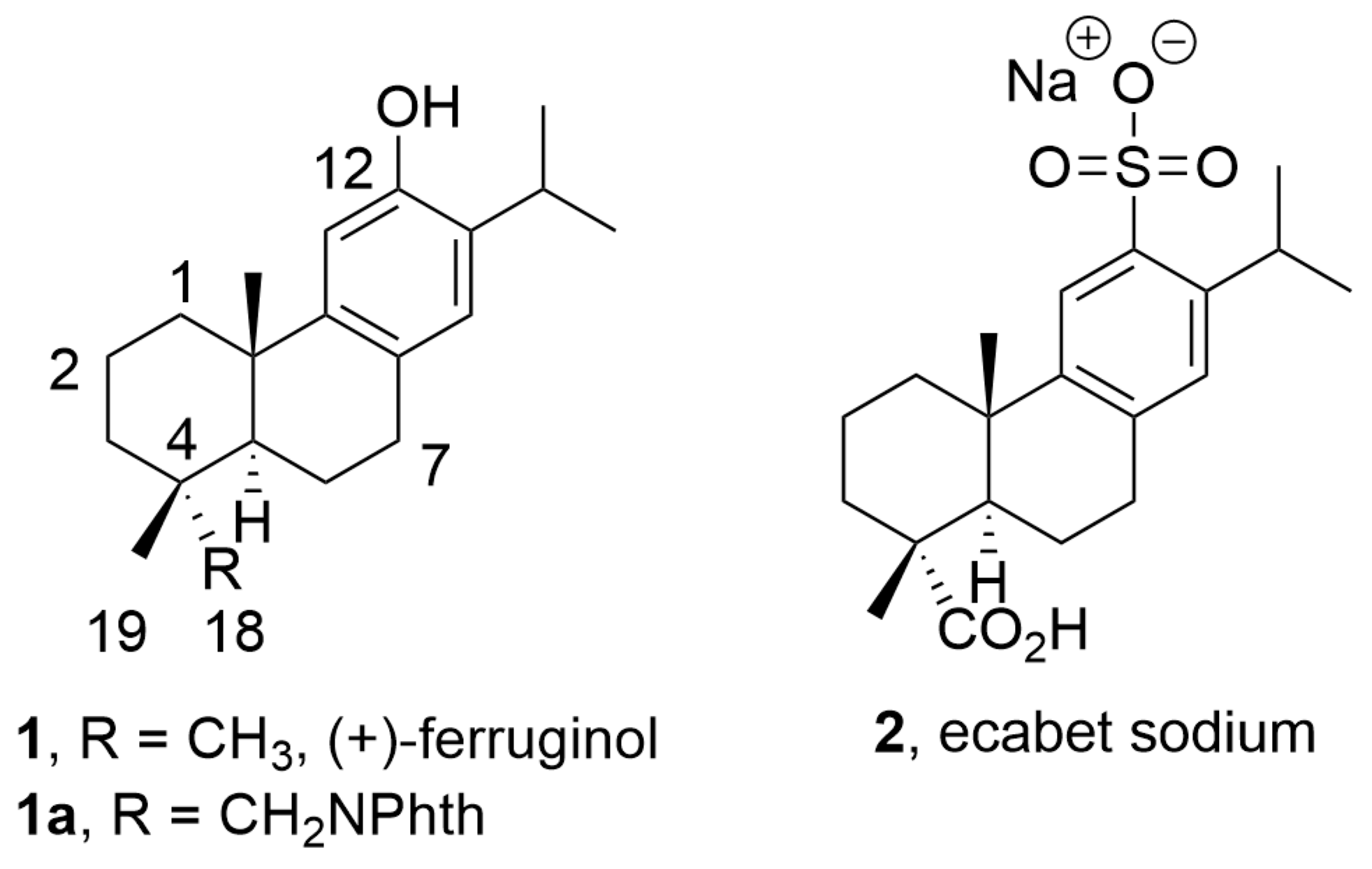 Pharmaceuticals 16 01602 g001