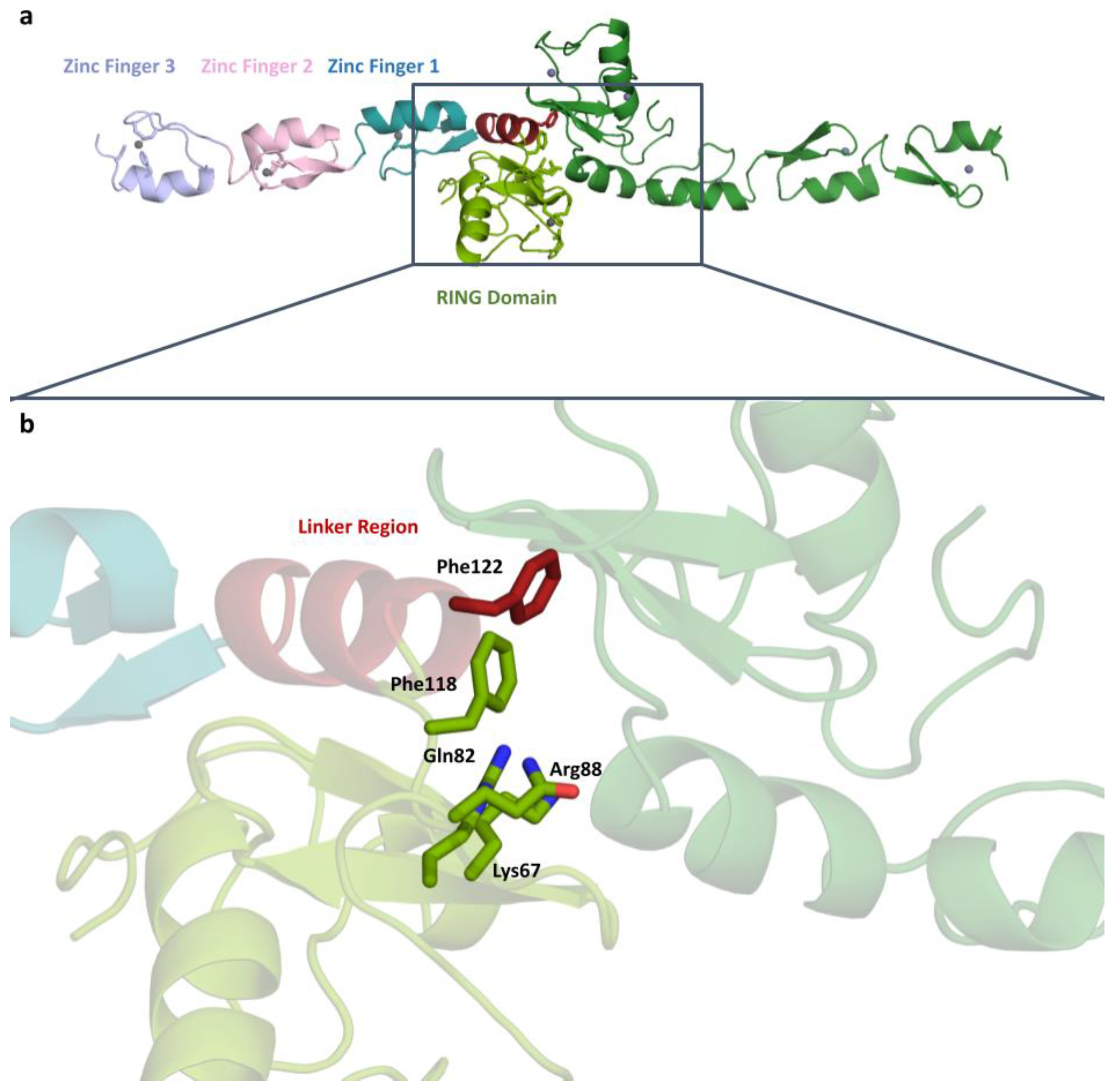 Pharmaceuticals 16 01608 g001