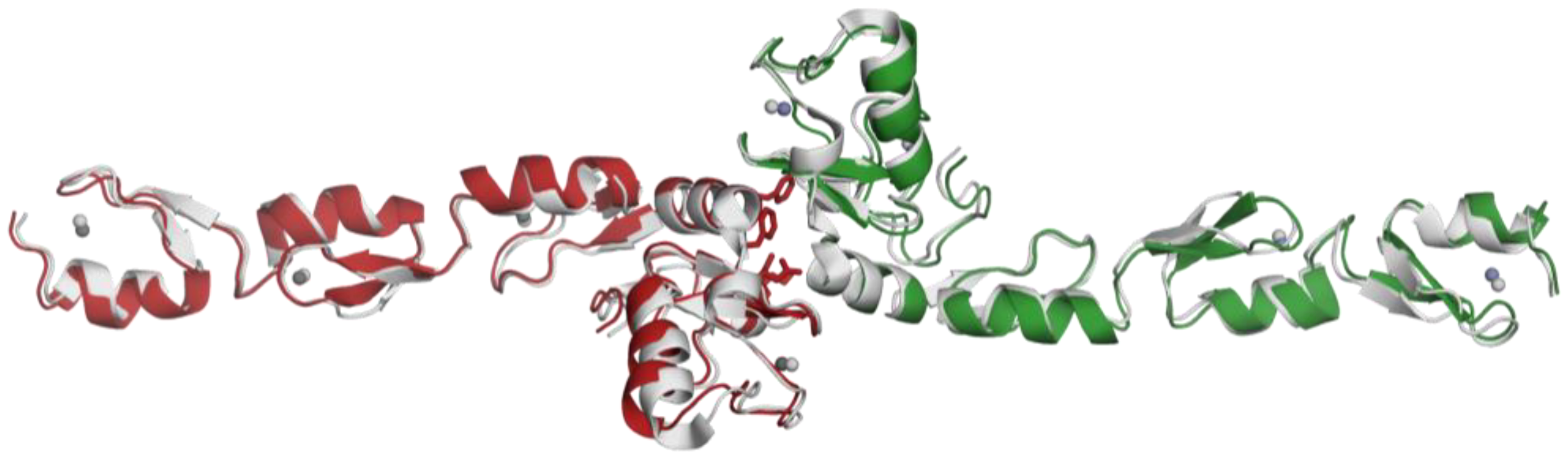 Pharmaceuticals 16 01608 g004