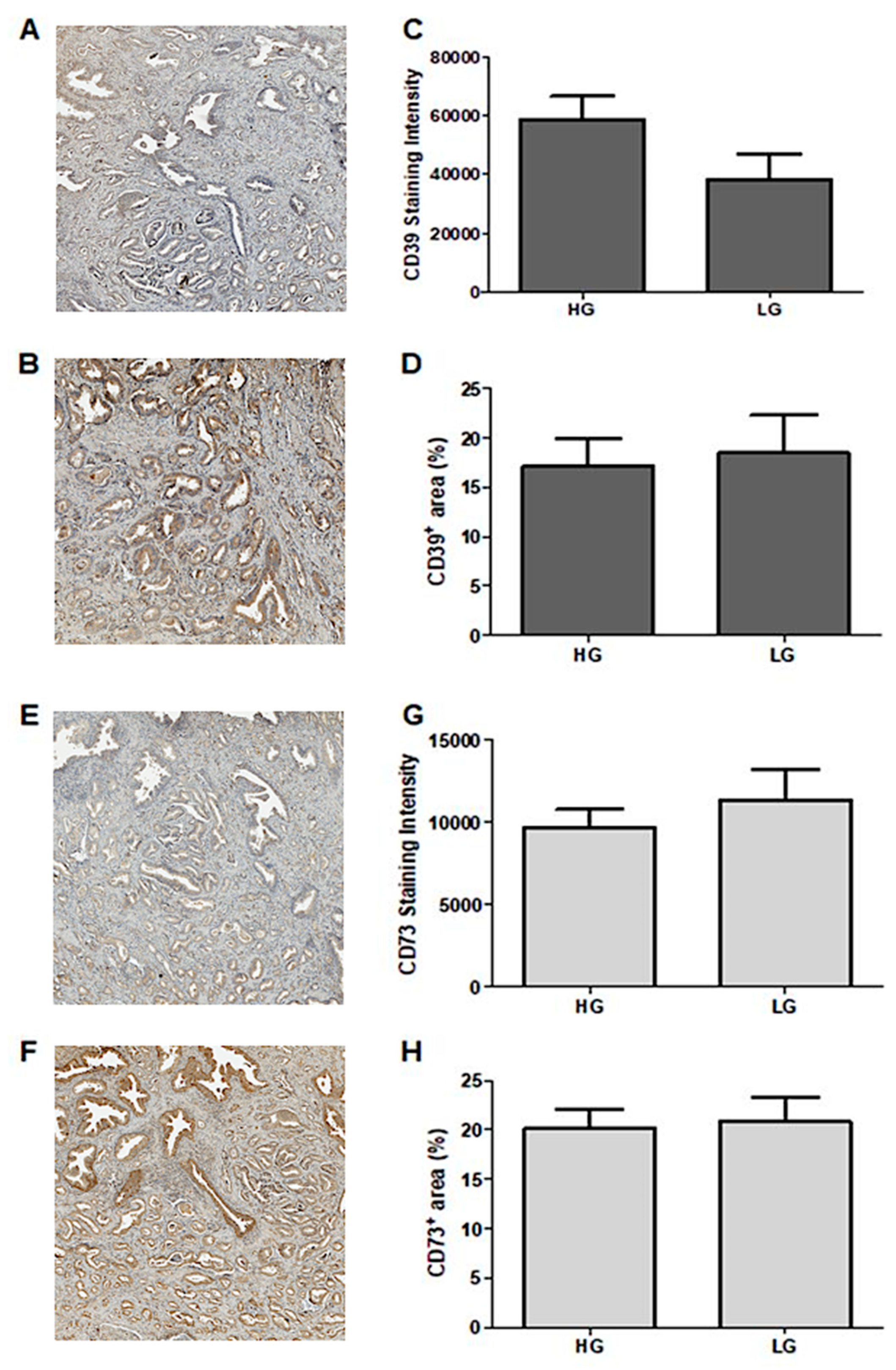 Pharmaceuticals 16 01619 g001