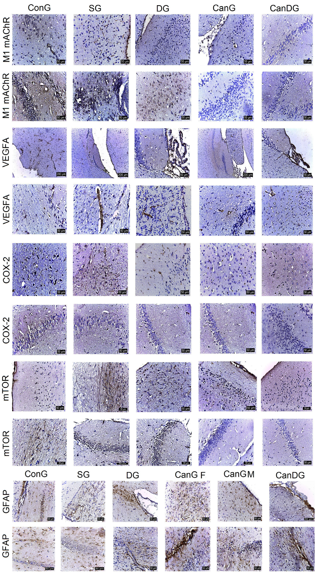 Pharmaceuticals 16 01620 g002