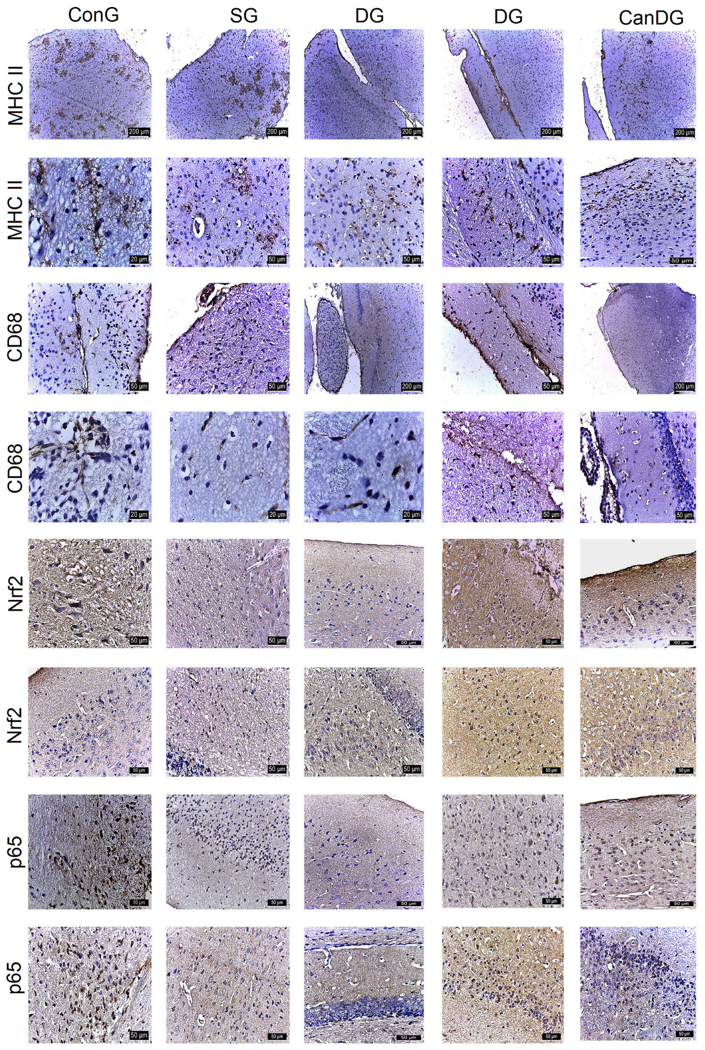 Pharmaceuticals 16 01620 g003