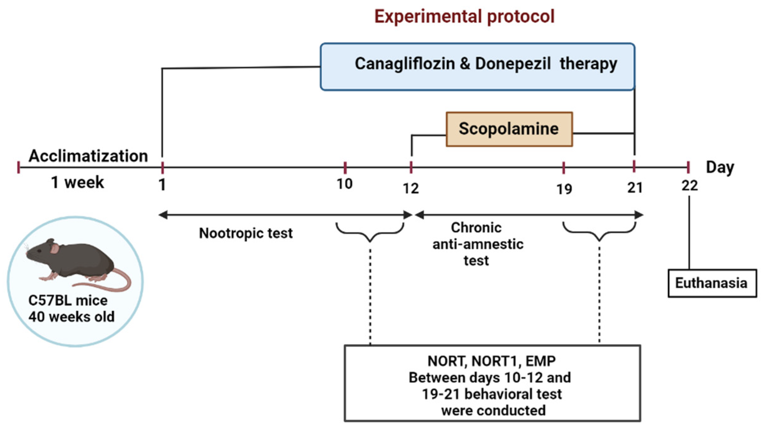 Pharmaceuticals 16 01620 g004