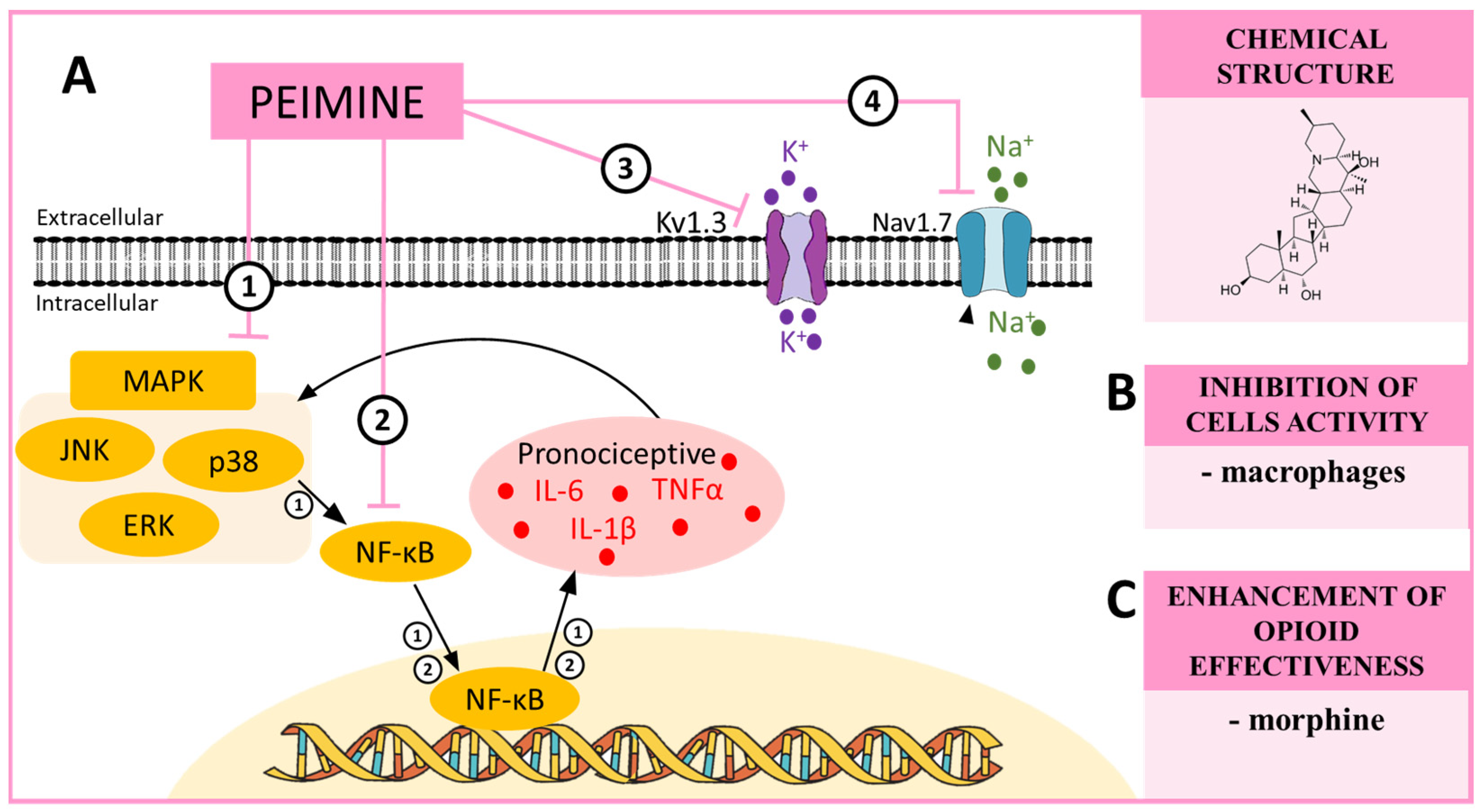 Pharmaceuticals 16 01624 sch003