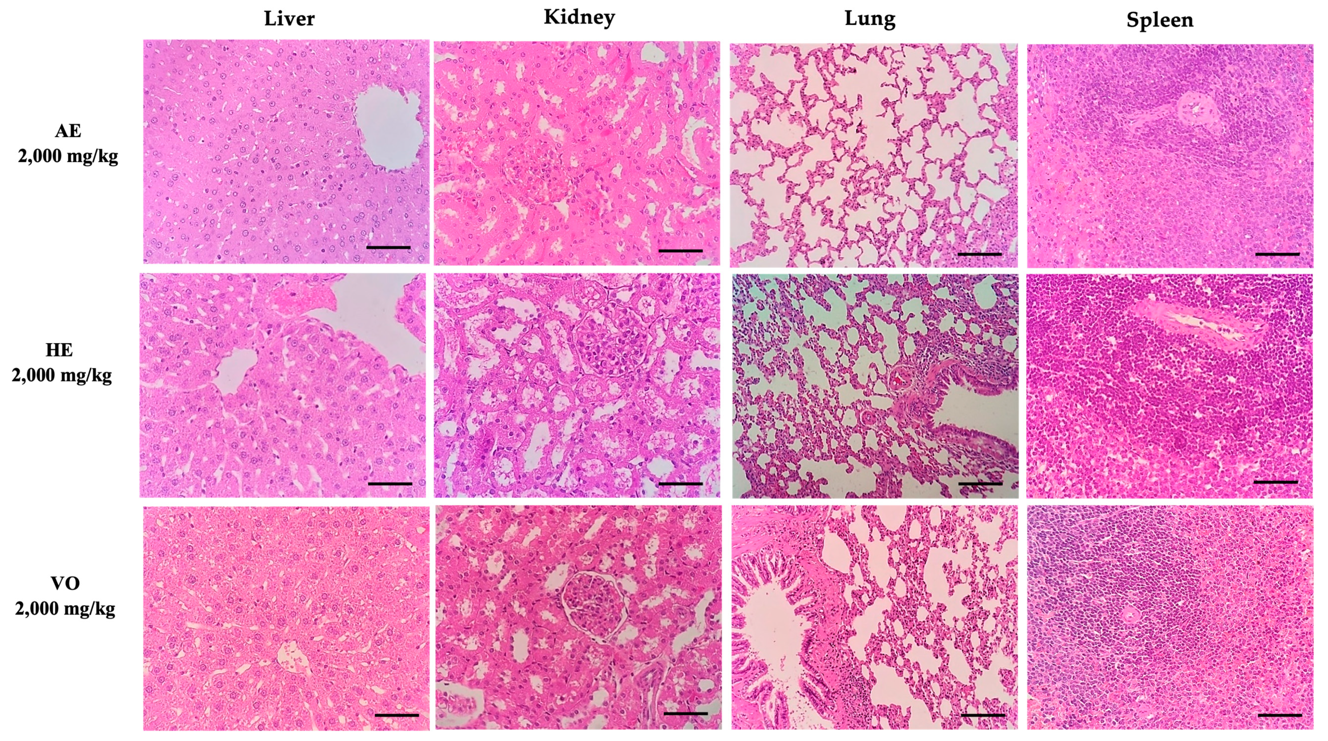 Pharmaceuticals 16 01630 g002