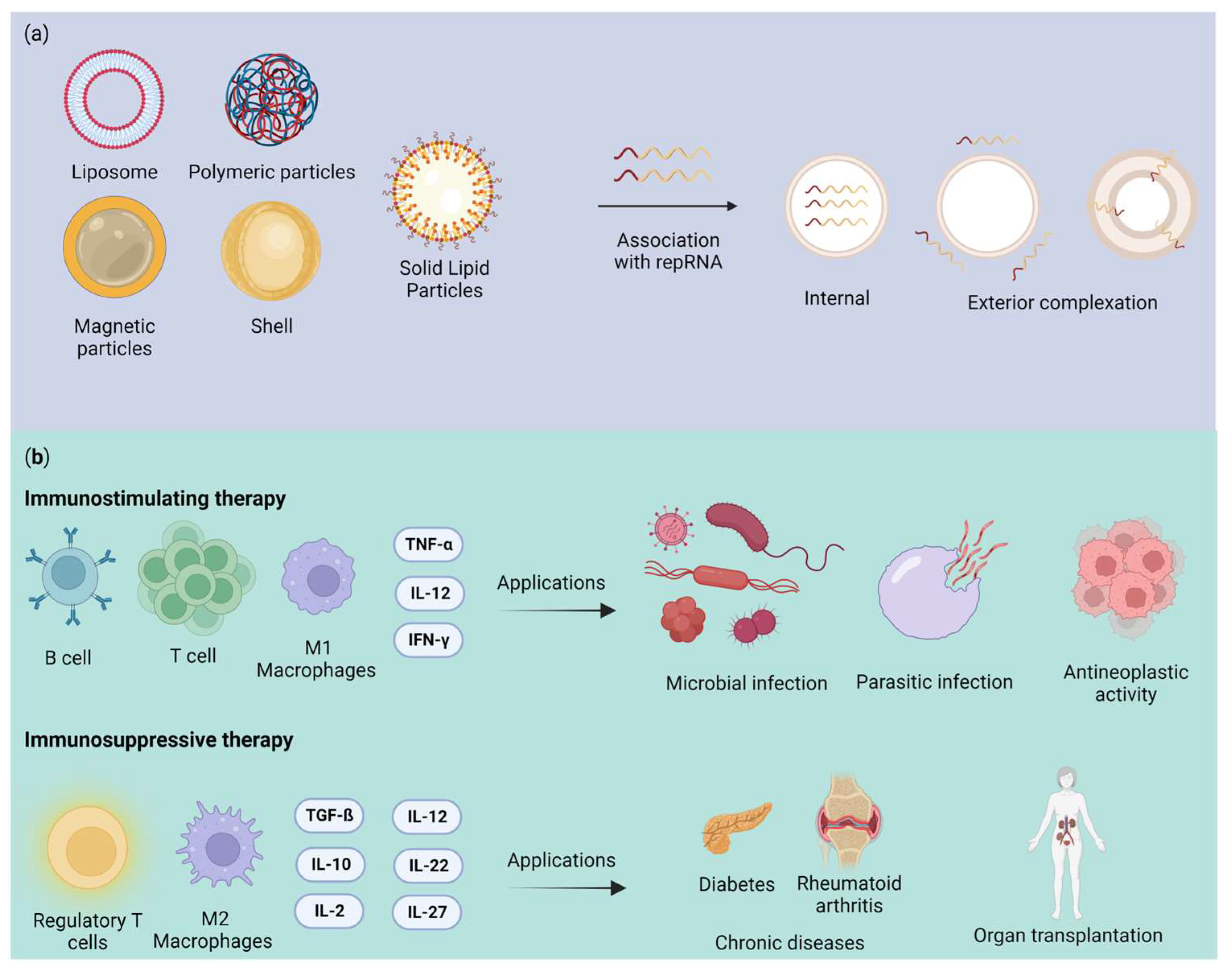 Pharmaceuticals 16 01634 g001