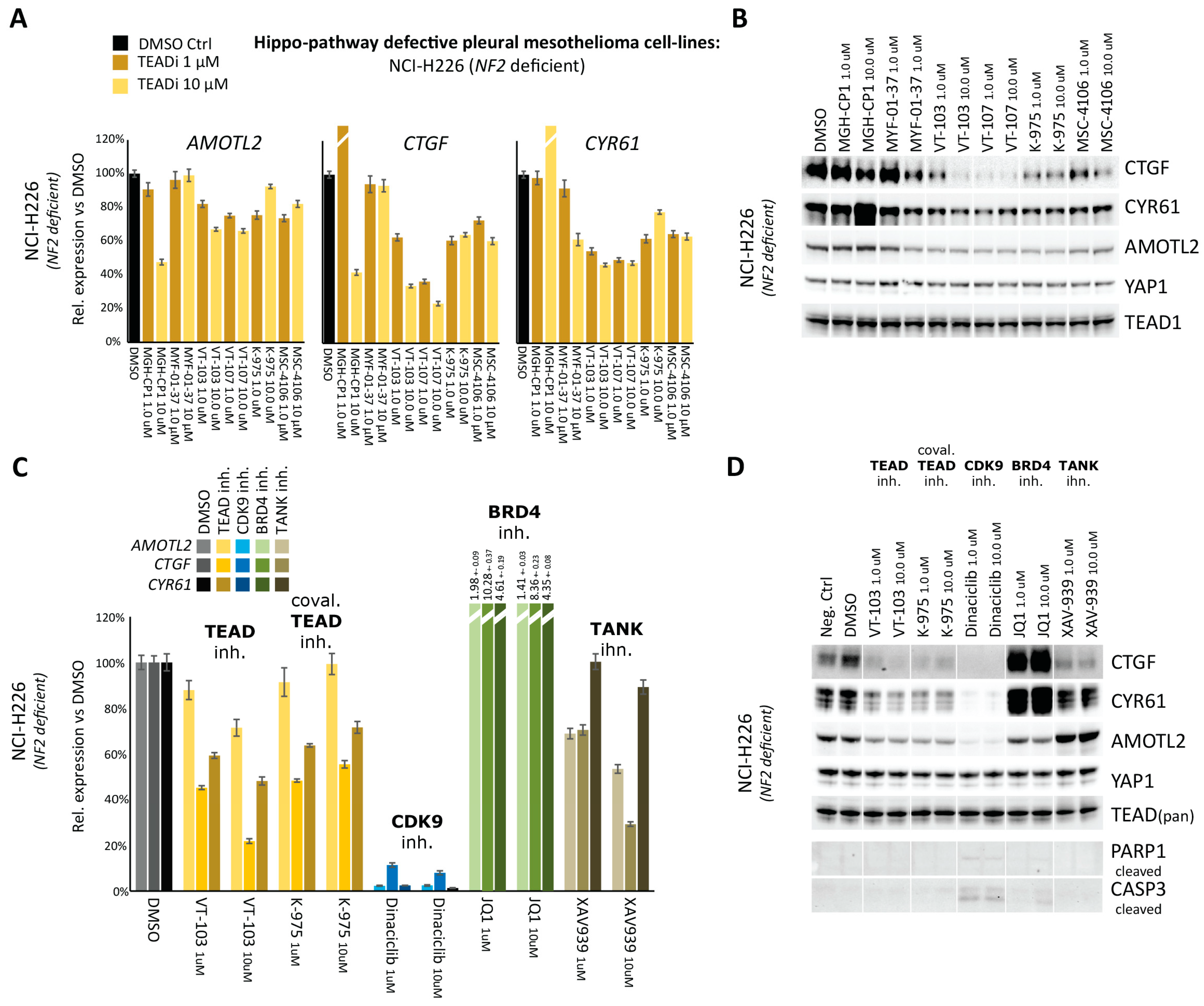 Pharmaceuticals 16 01635 g002