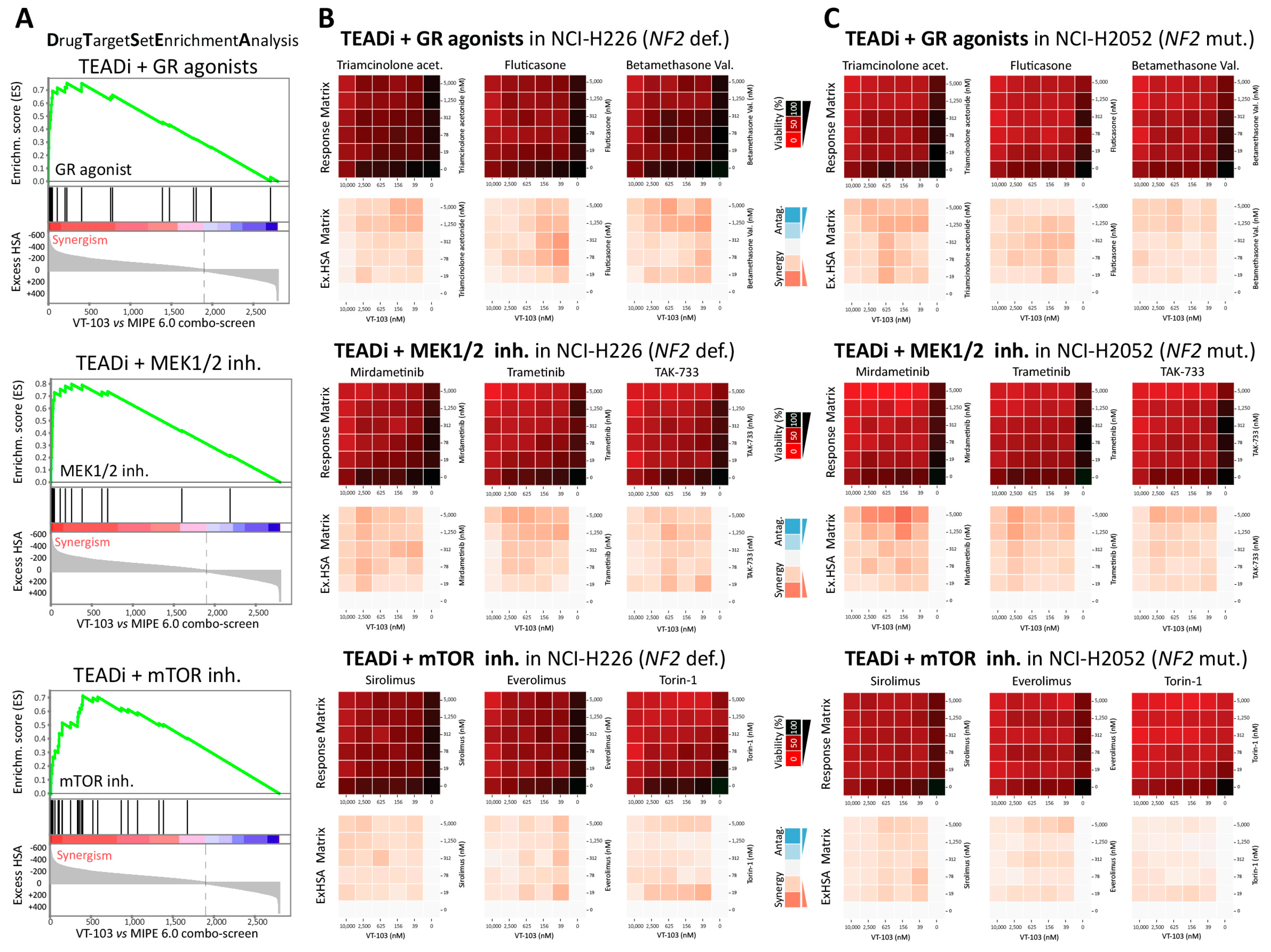 Pharmaceuticals 16 01635 g005
