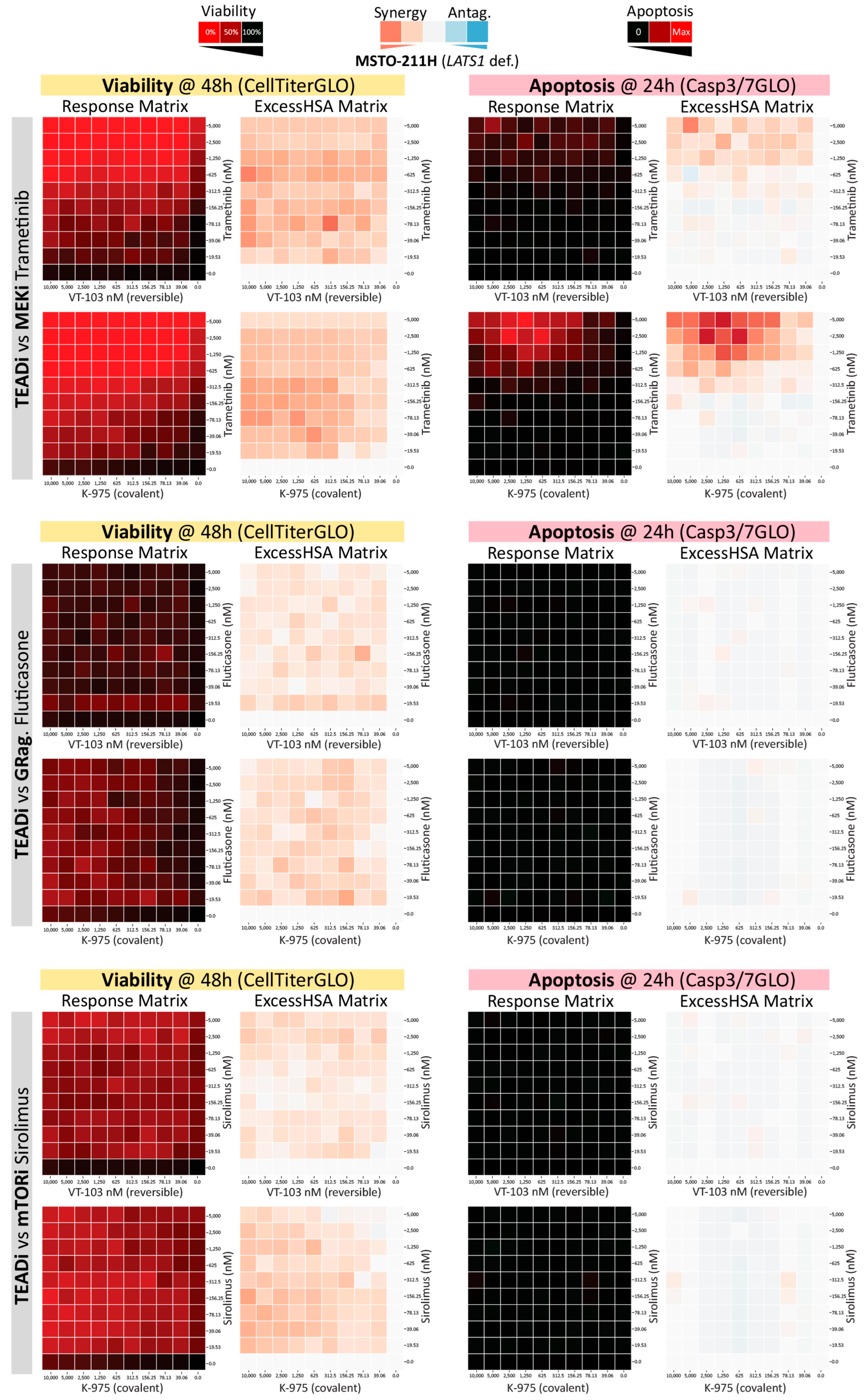 Pharmaceuticals 16 01635 g006