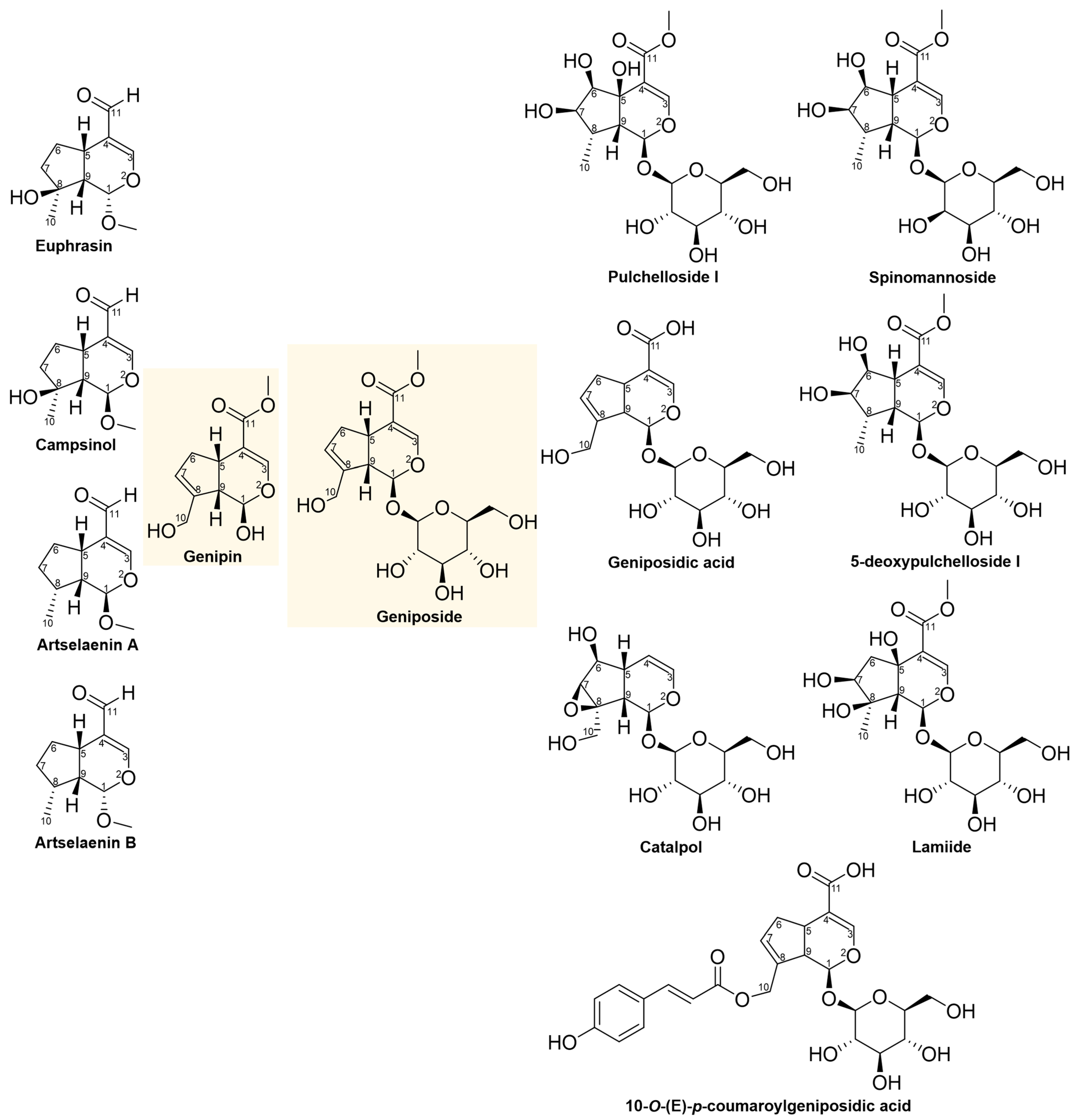 Pharmaceuticals 16 01647 g001