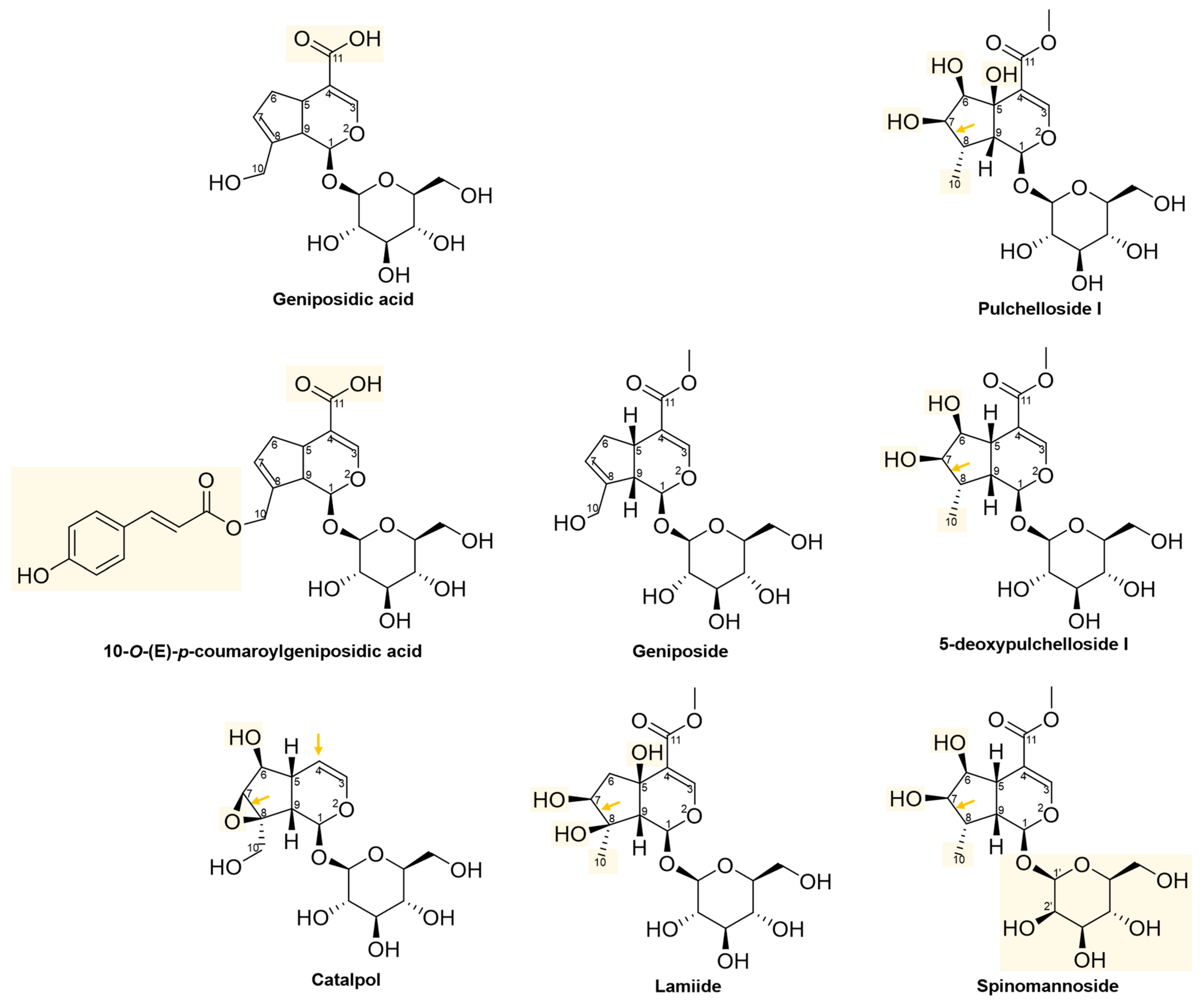 Pharmaceuticals 16 01647 g009