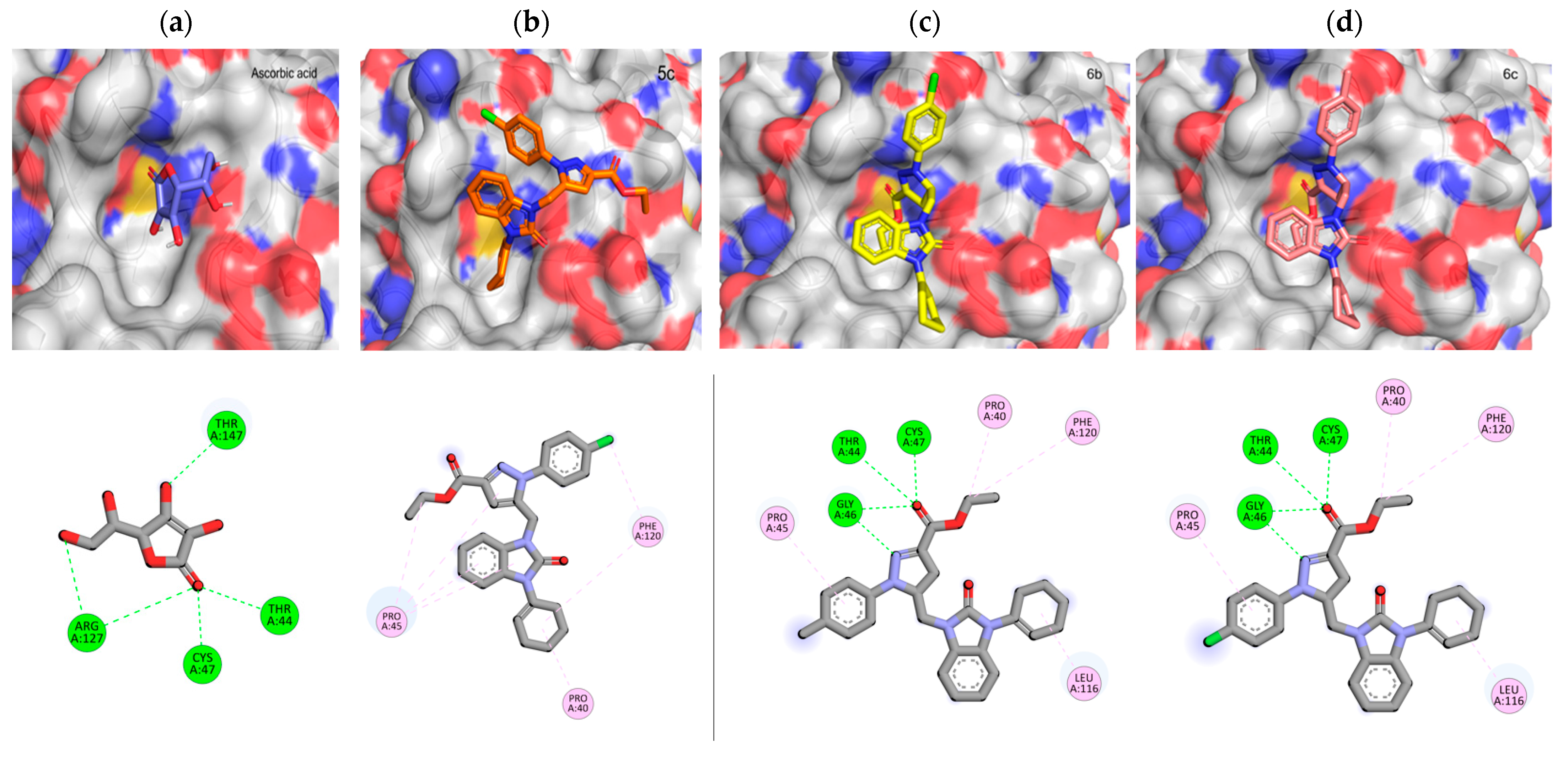 Pharmaceuticals 16 01648 g004a