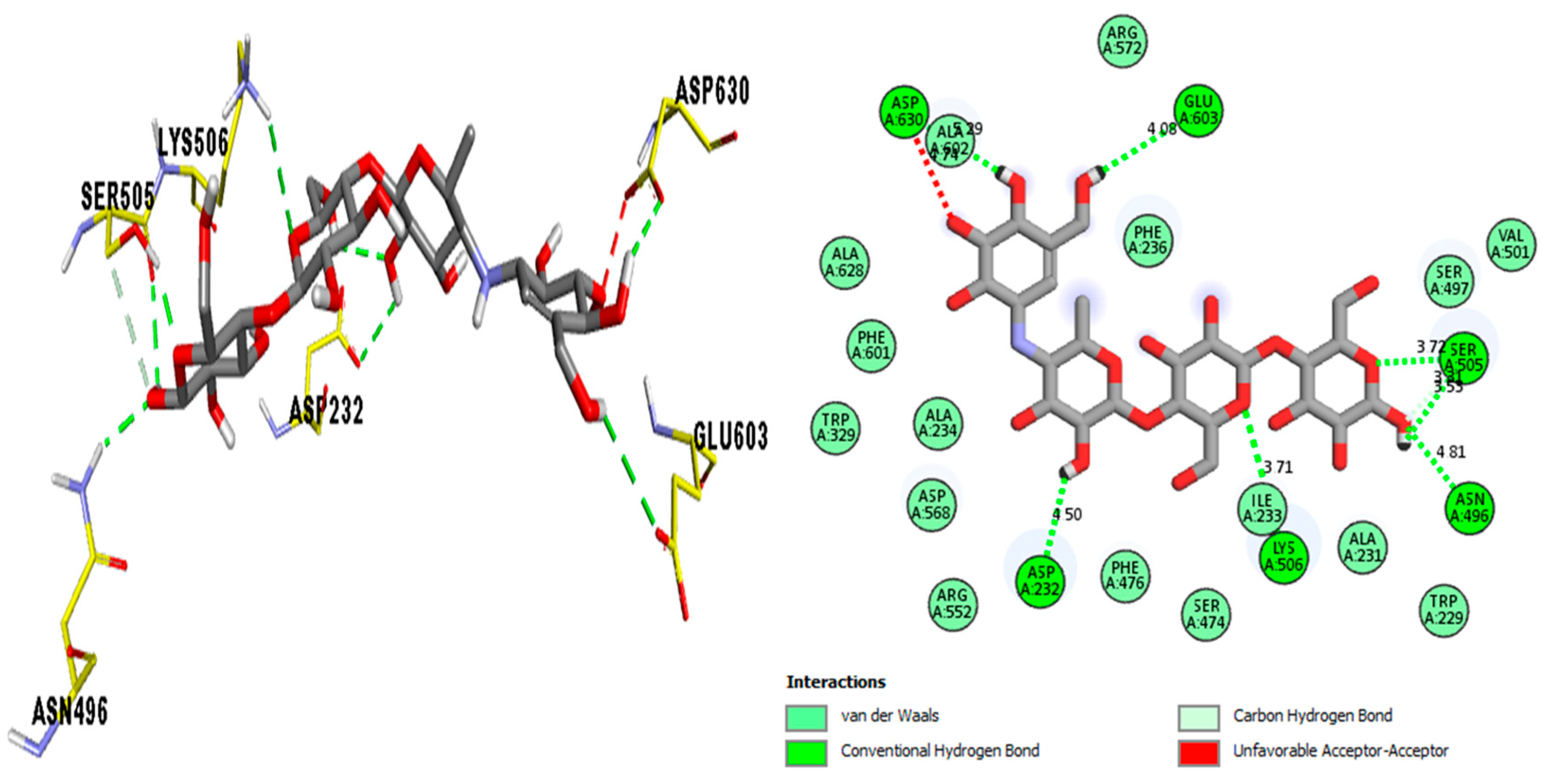 Pharmaceuticals 16 01650 g011