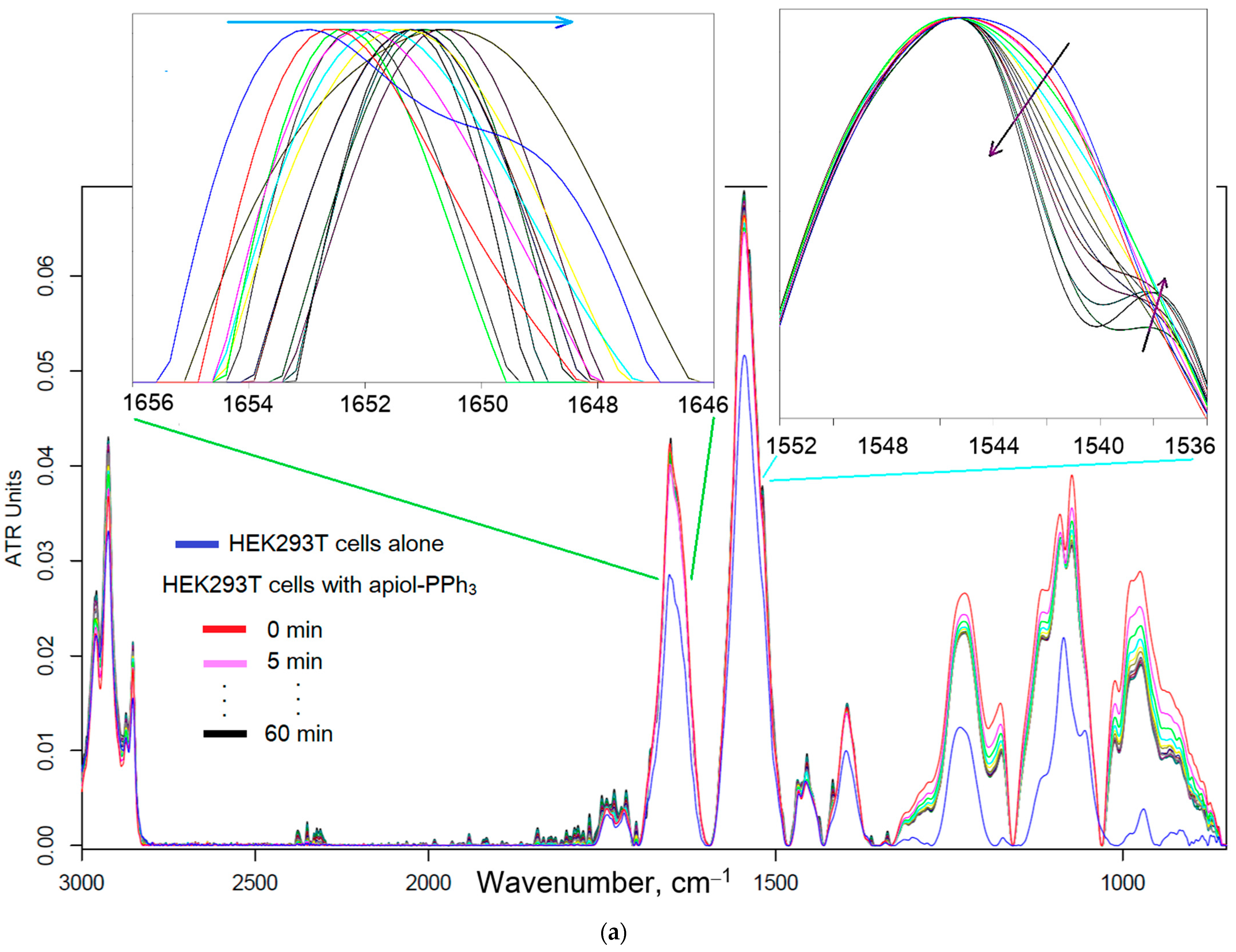 Pharmaceuticals 16 01651 g005a