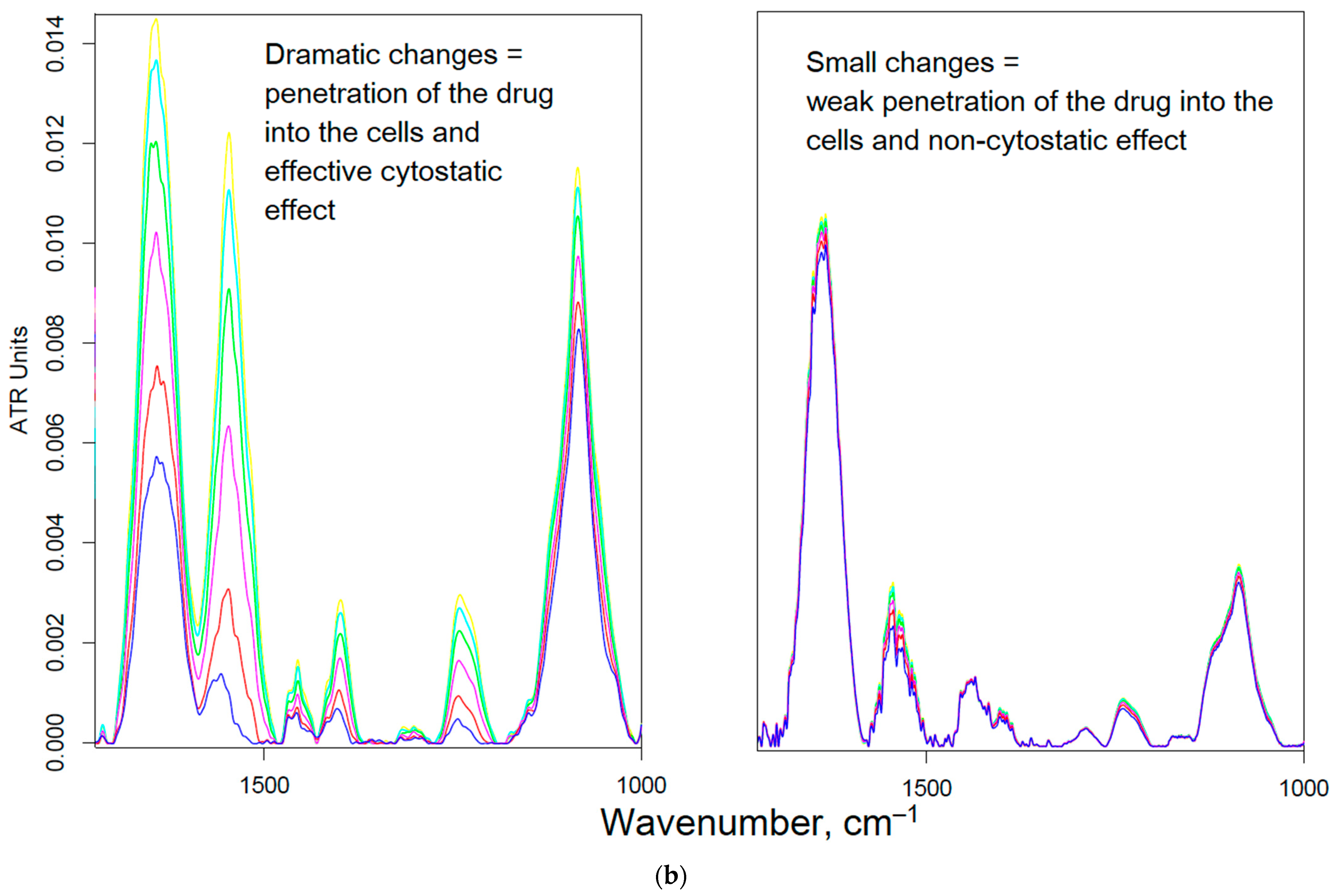 Pharmaceuticals 16 01651 g005b