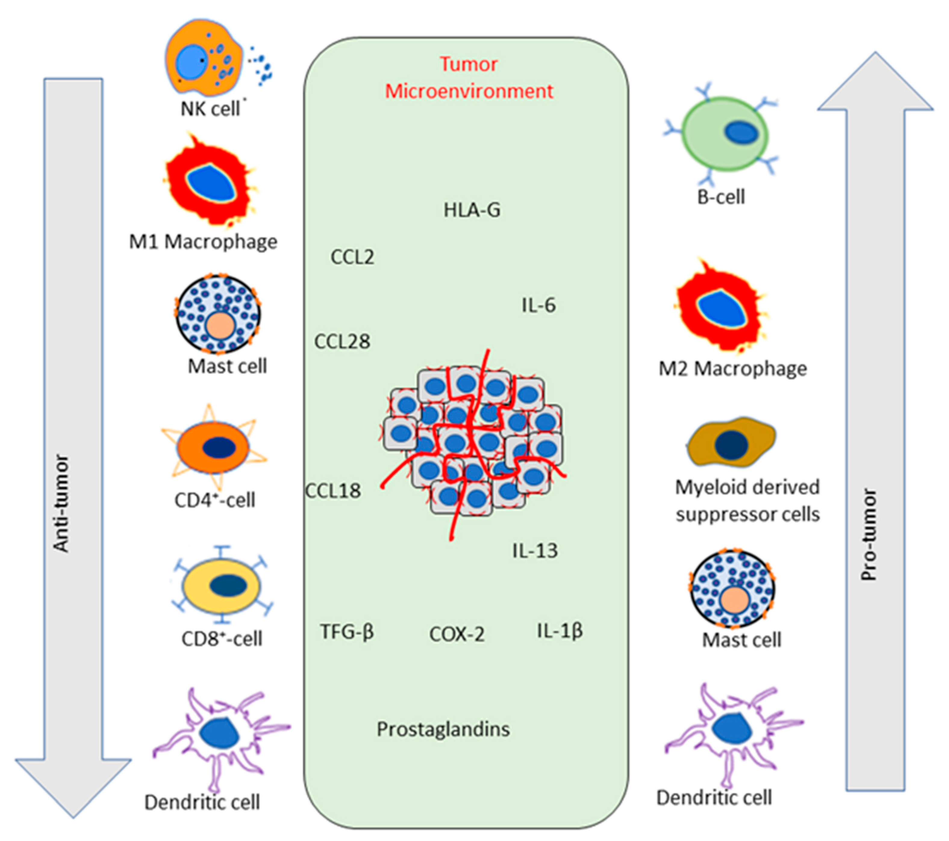 Pharmaceuticals 16 01652 g001