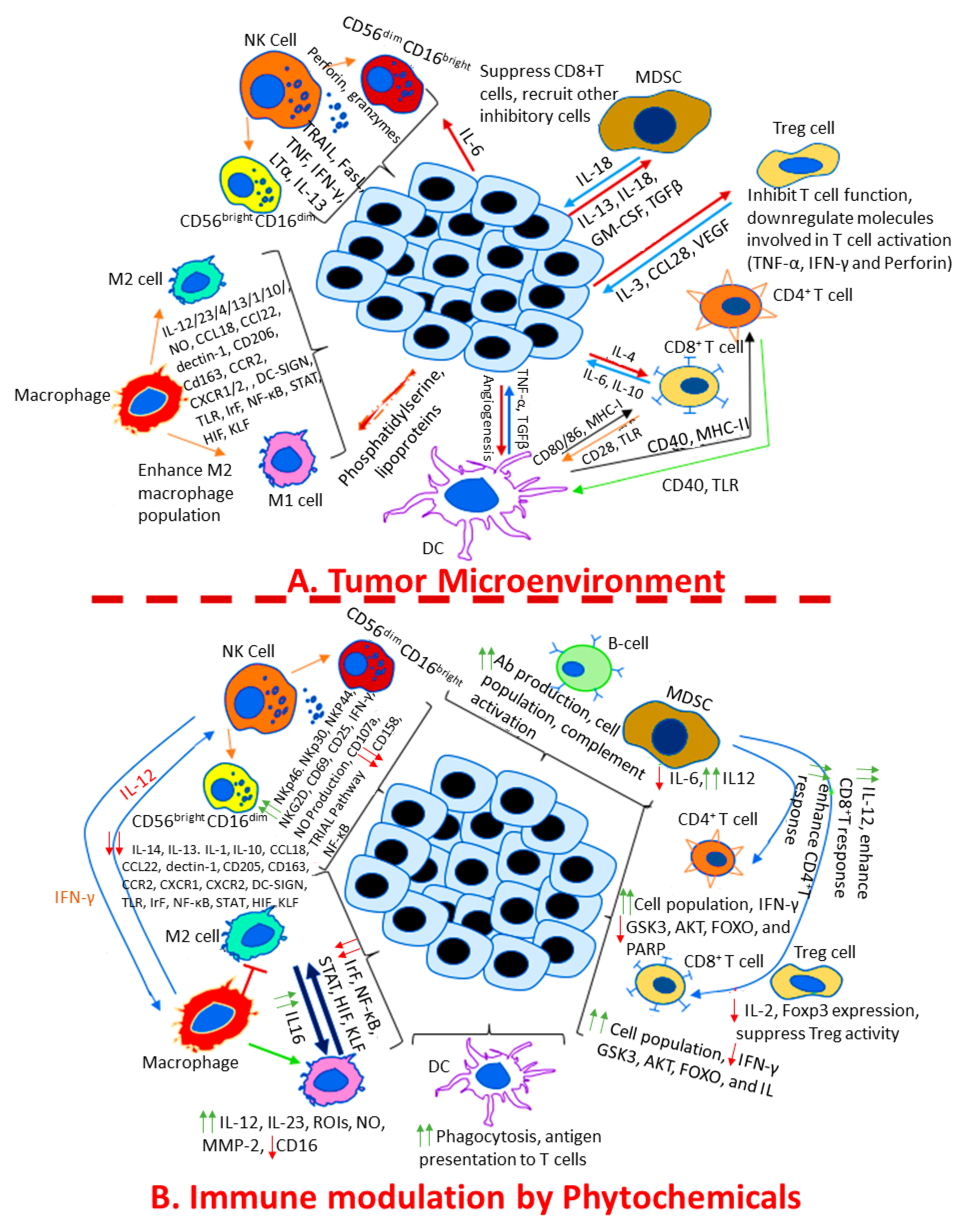 Pharmaceuticals 16 01652 g002