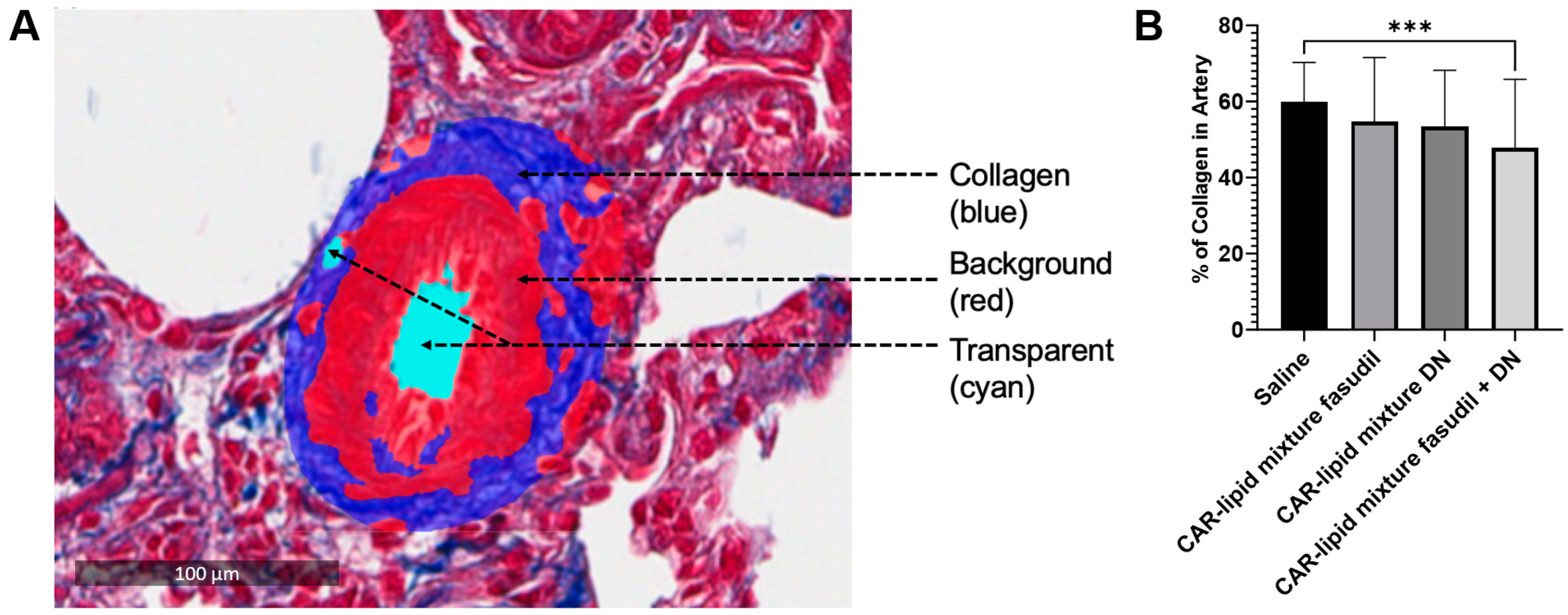 Pharmaceuticals 16 01656 g008