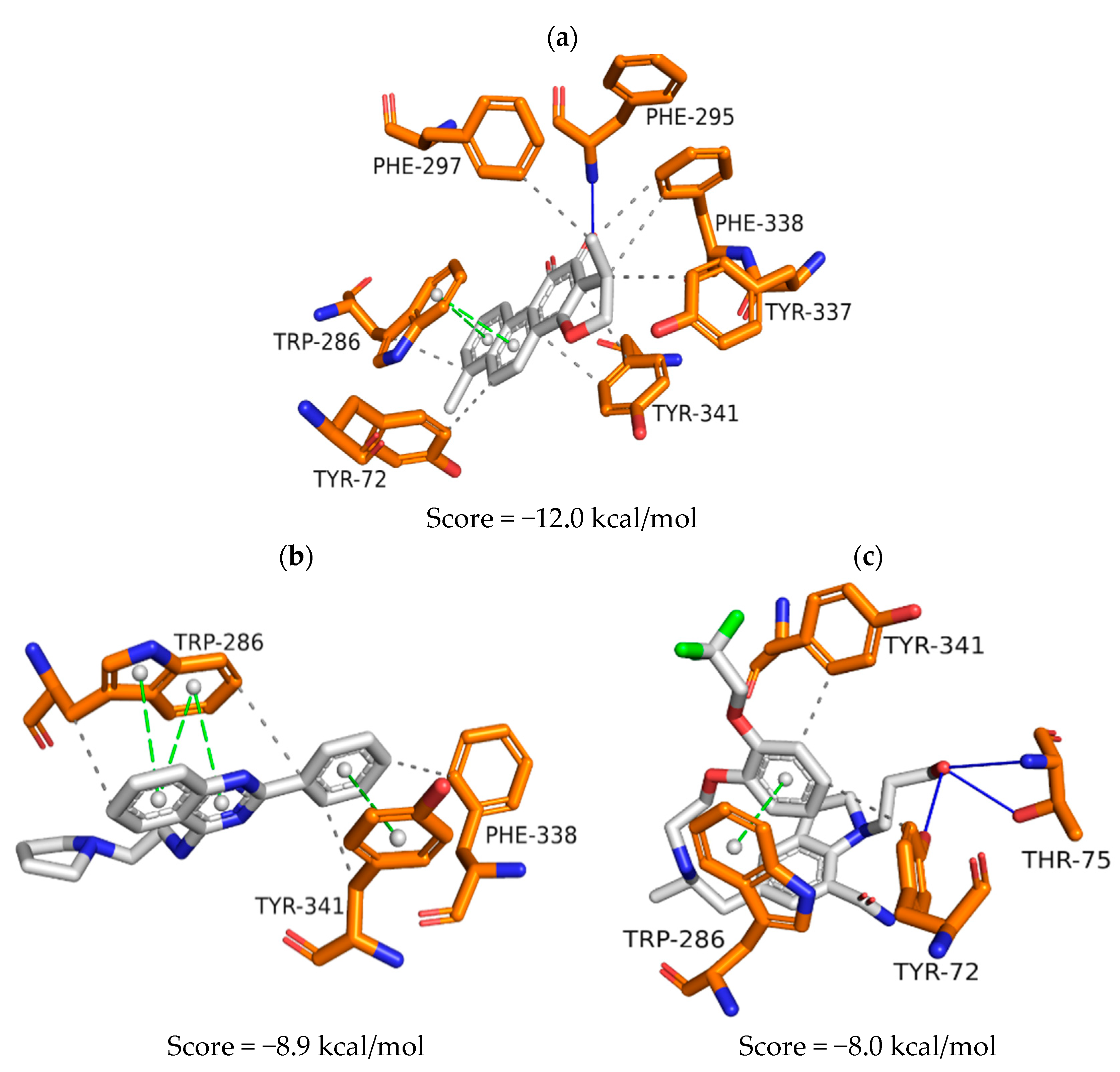 Pharmaceuticals 16 01657 g004