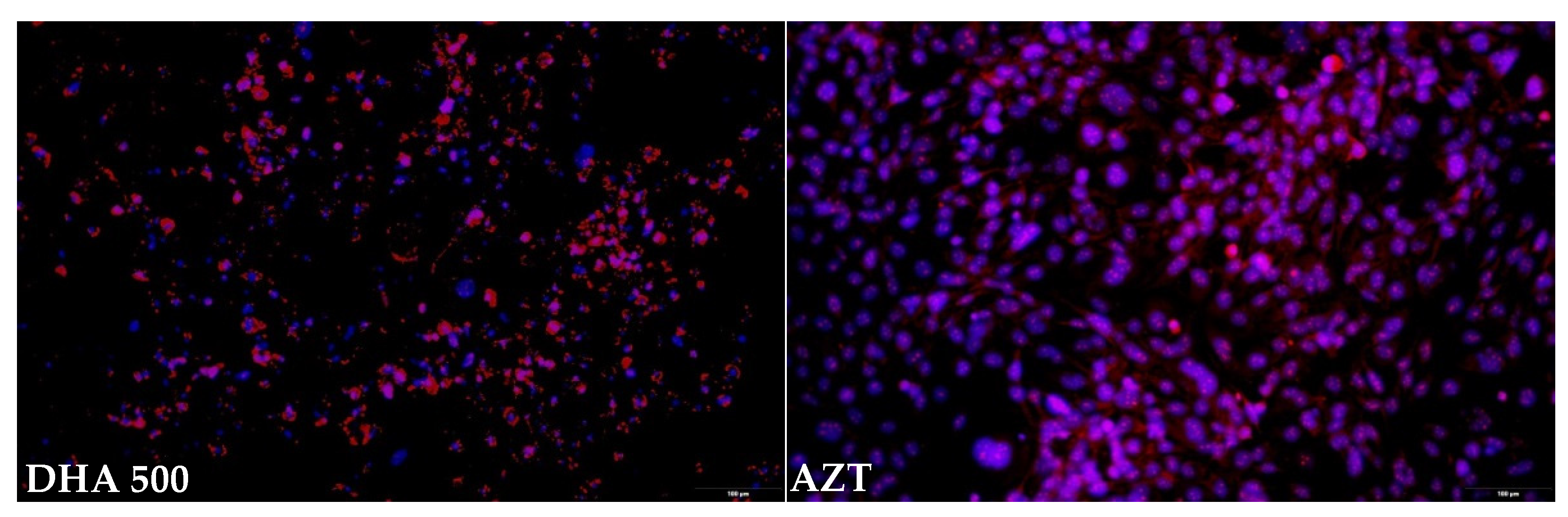 Pharmaceuticals 16 01661 g003b