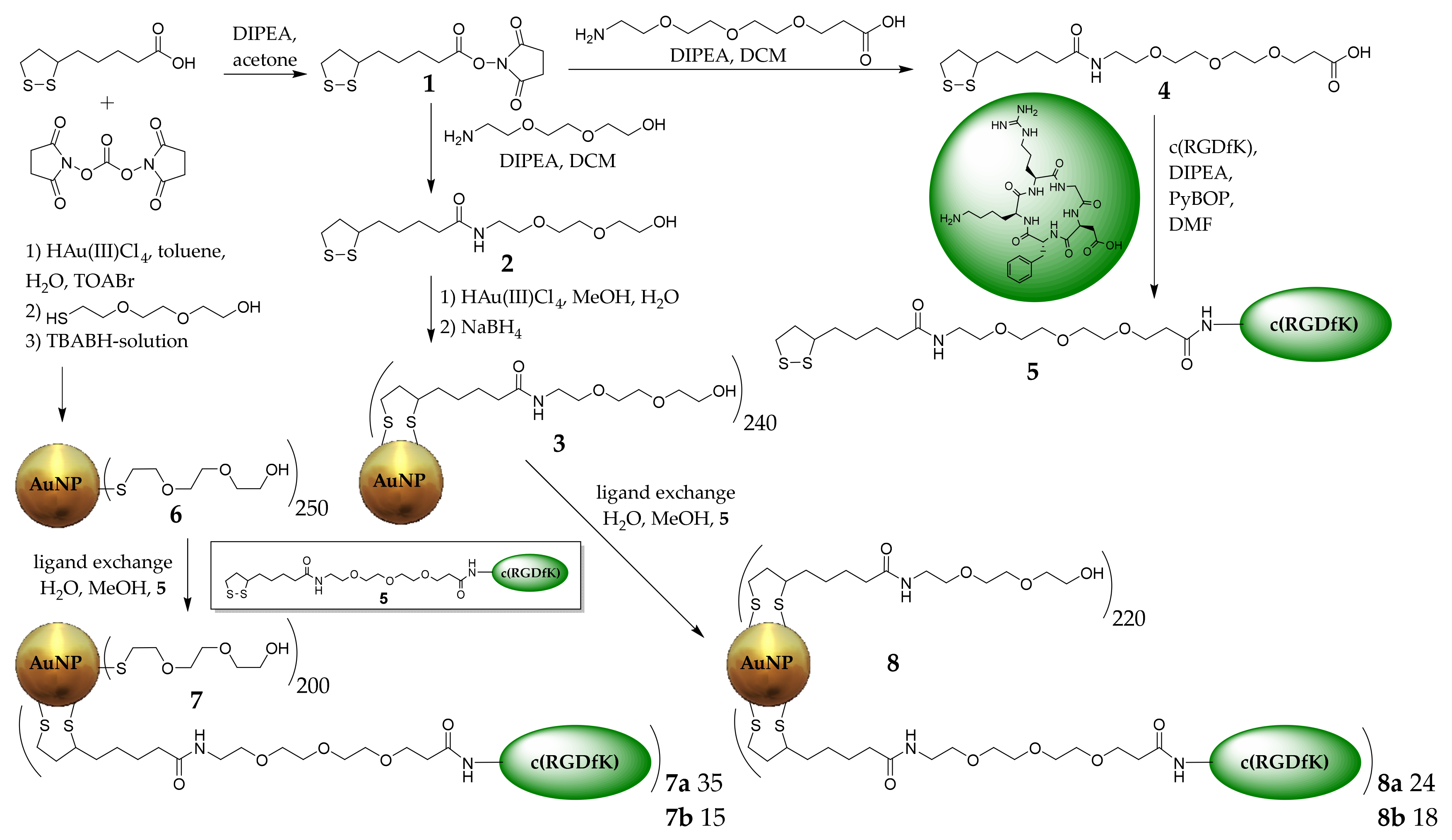 Pharmaceuticals 16 01670 g001