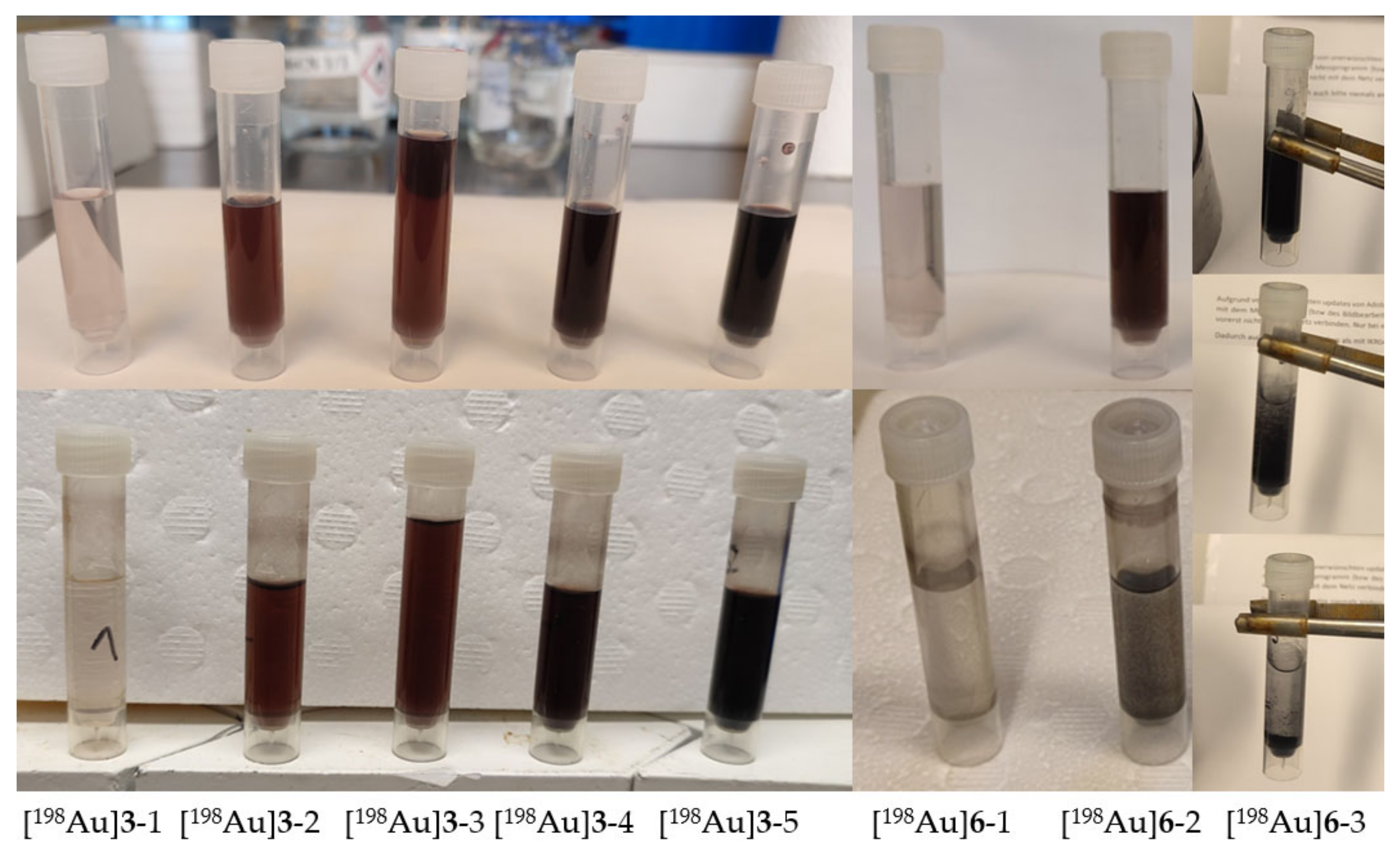 Pharmaceuticals 16 01670 g002