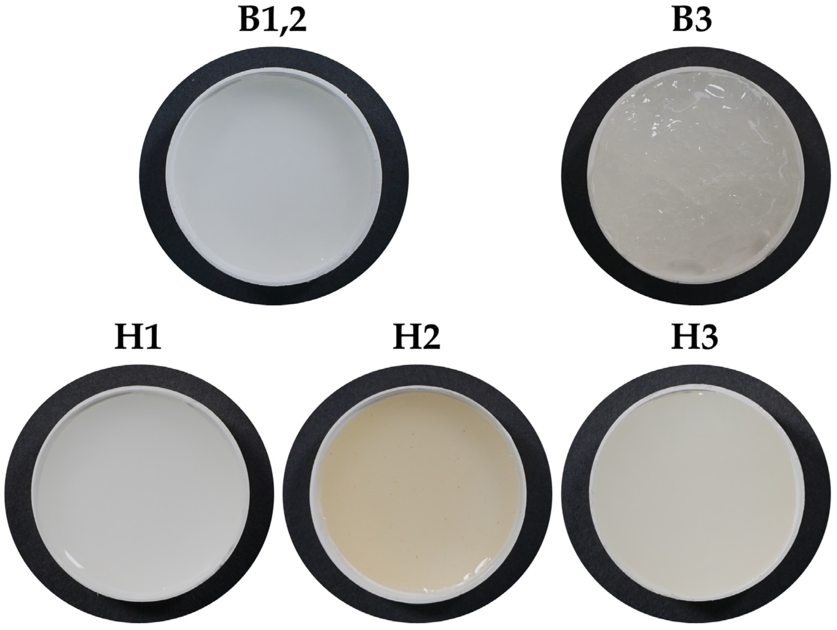 Pharmaceuticals 16 01671 g001