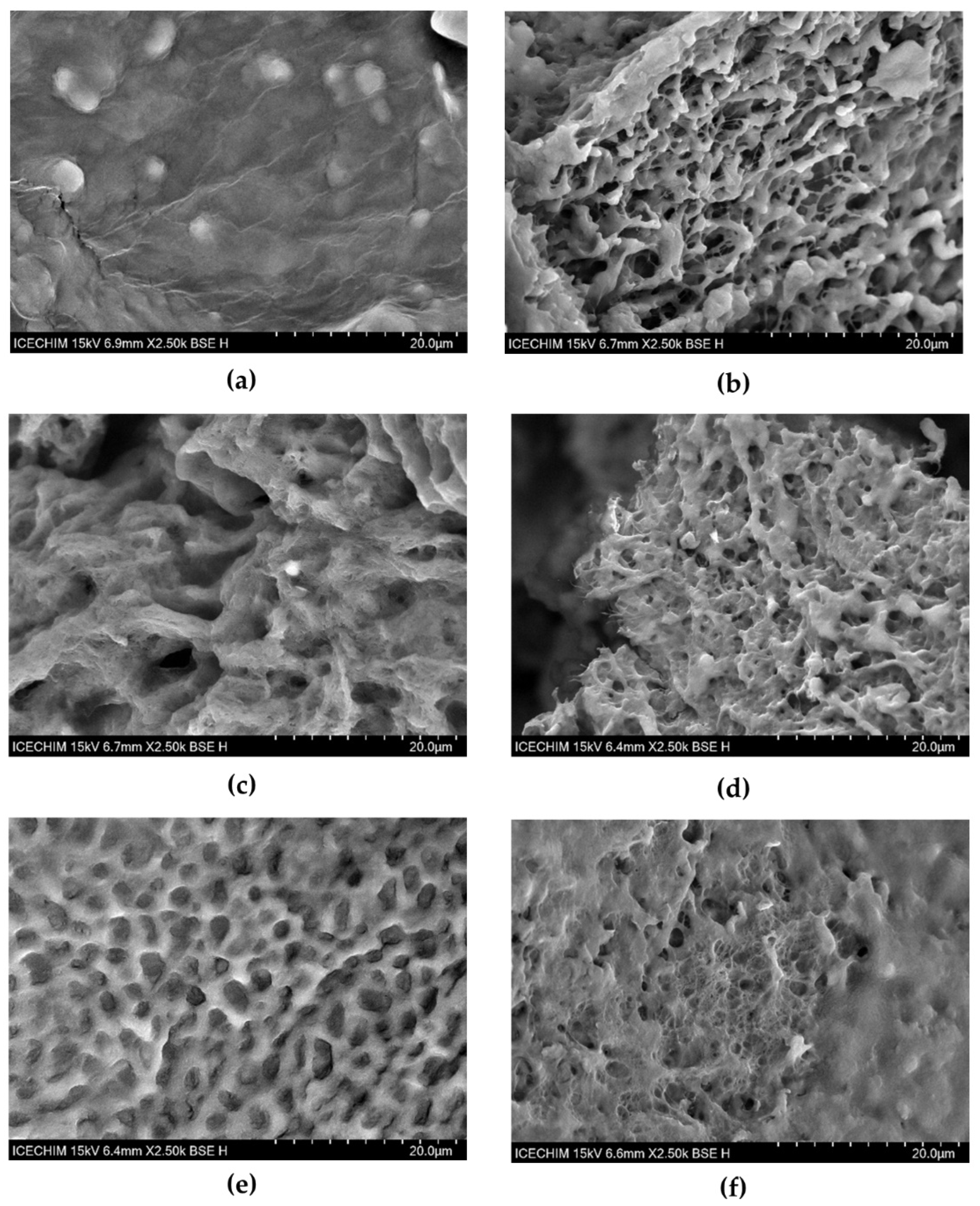 Pharmaceuticals 16 01671 g008