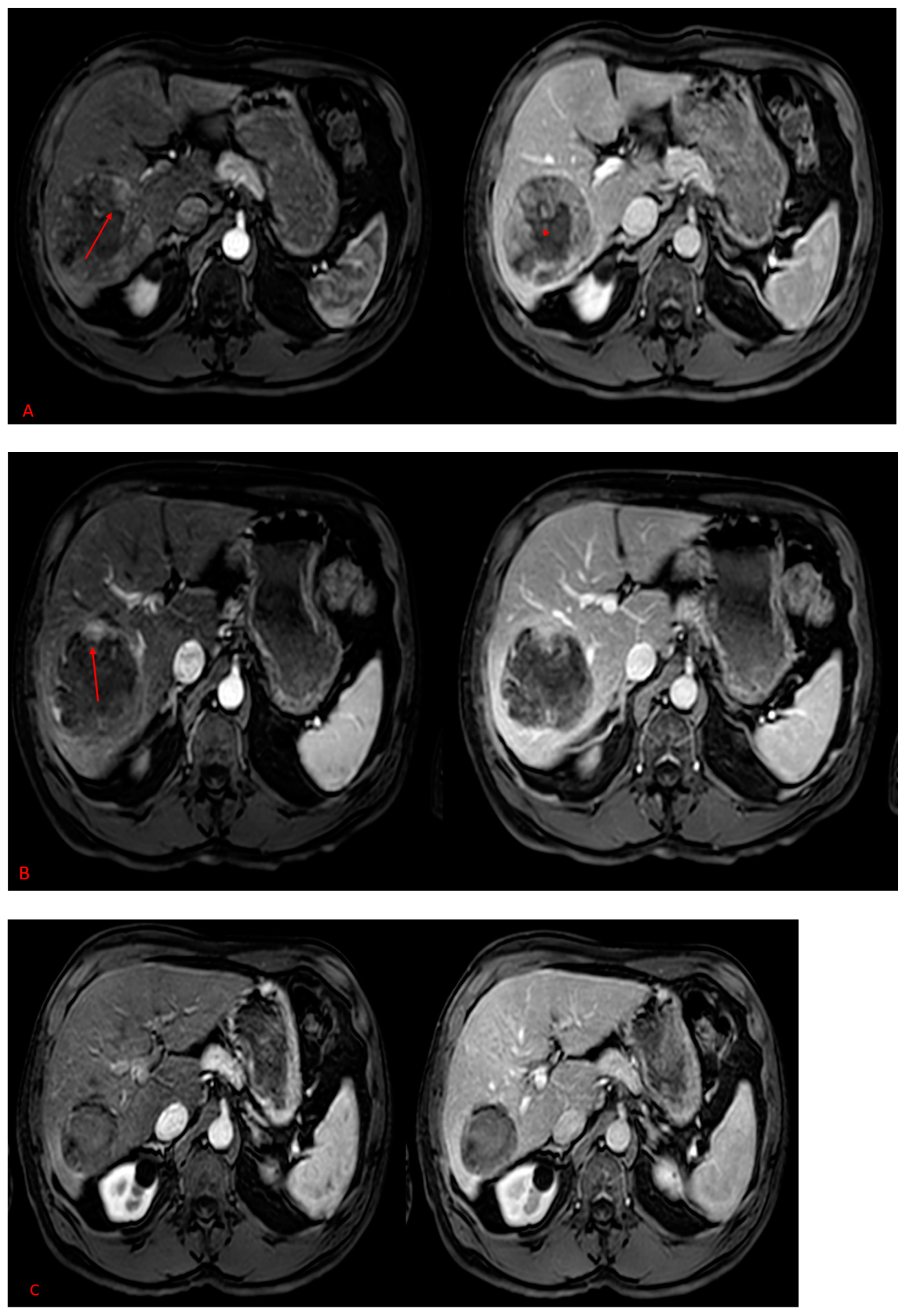 Pharmaceuticals 16 01676 g002