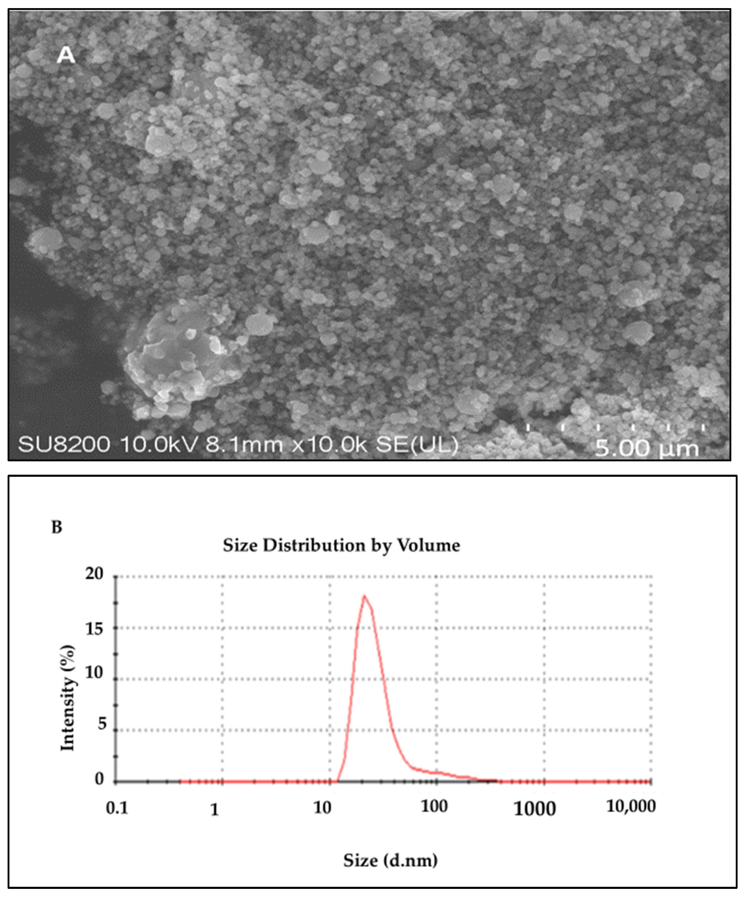 Pharmaceuticals 16 01677 g004