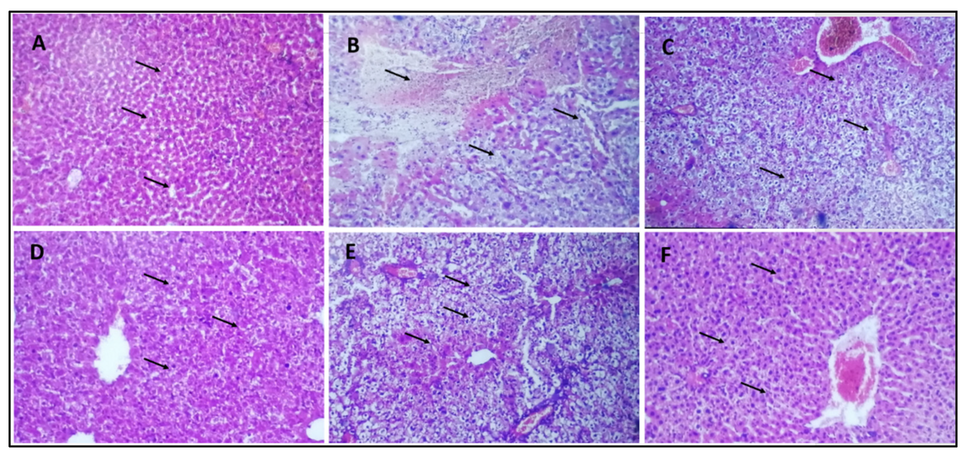 Pharmaceuticals 16 01677 g008
