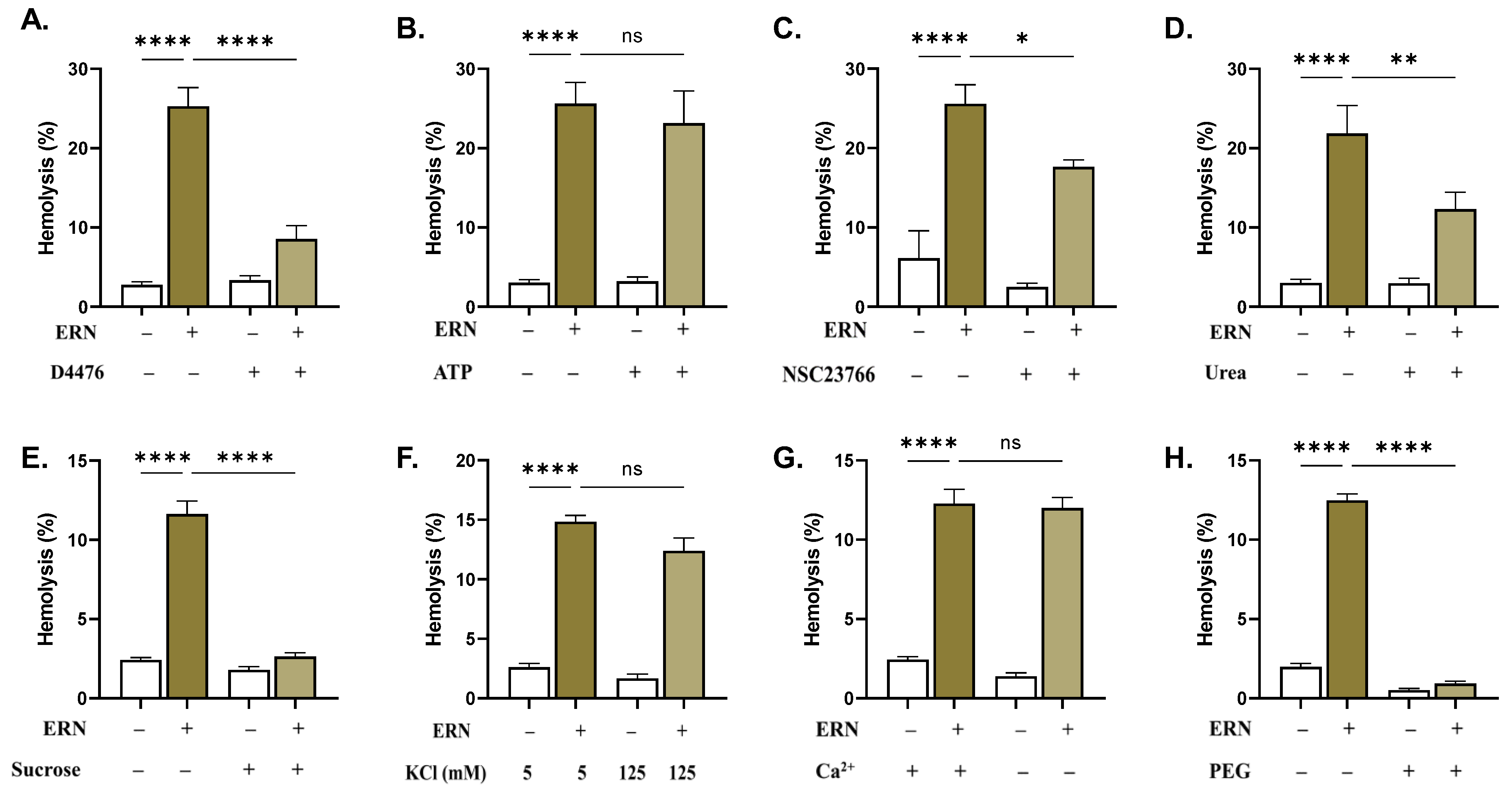Pharmaceuticals 16 01681 g007 Pharmaceuticals 16 01681 g007